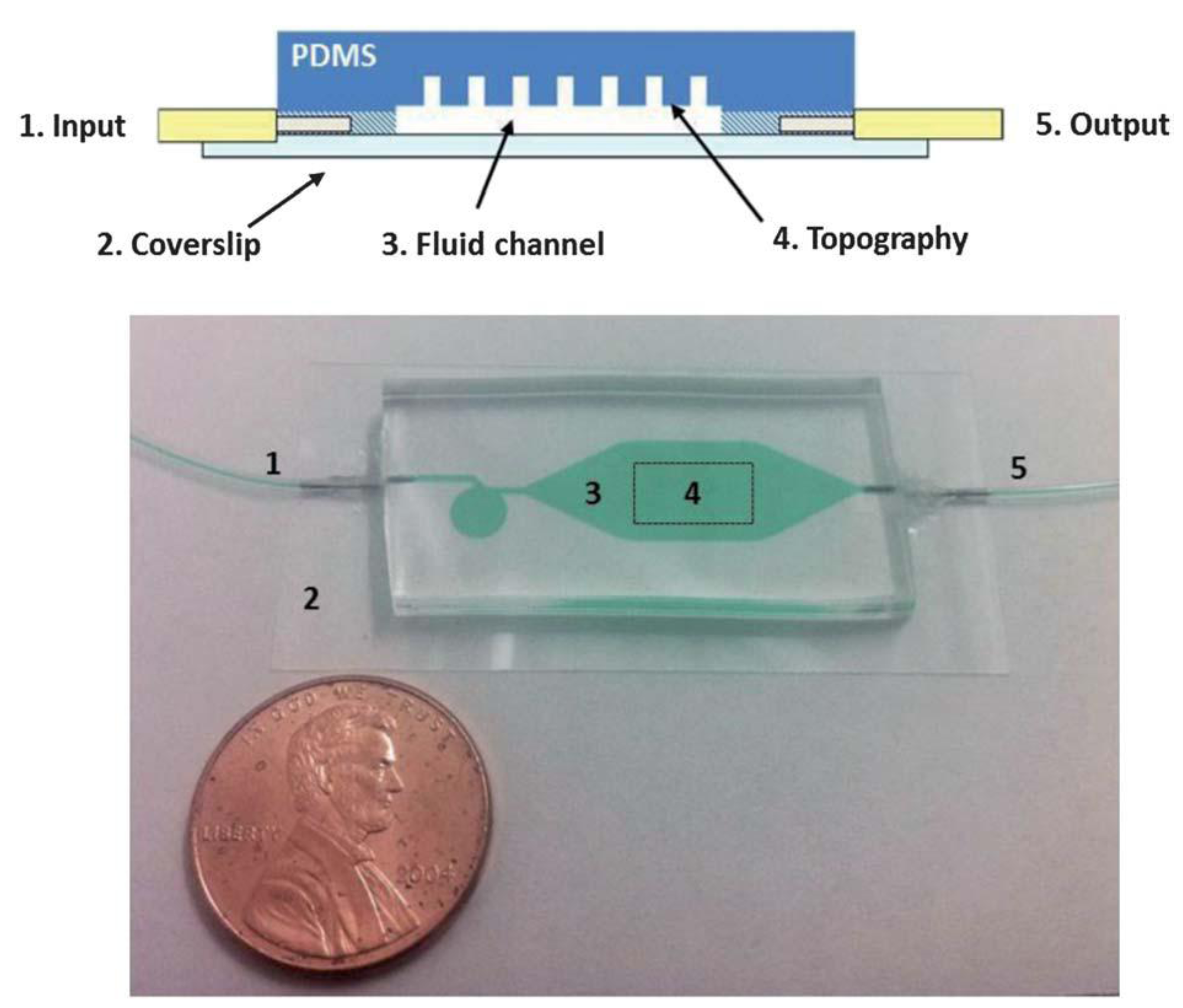 Coatings 04 00037 g003 1024
