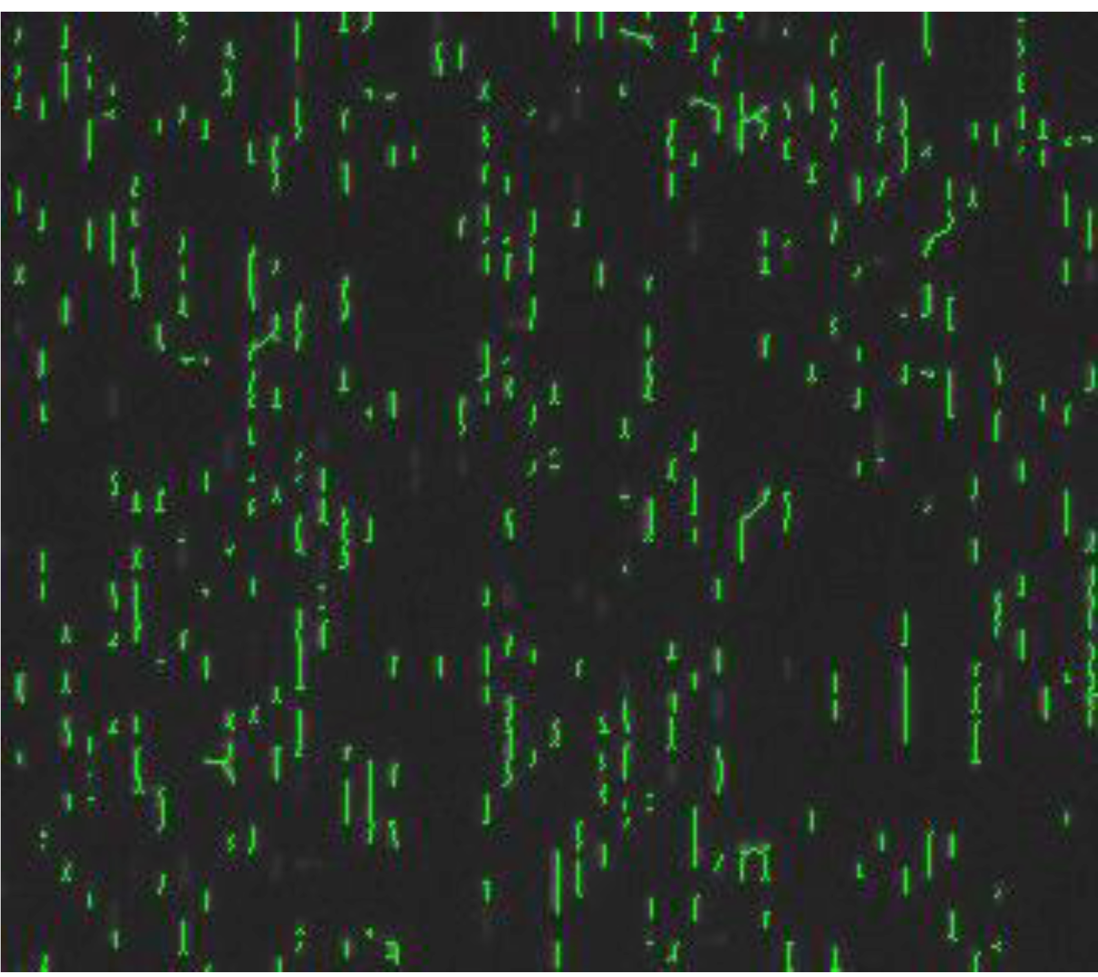 Coatings 04 00037 g006 1024