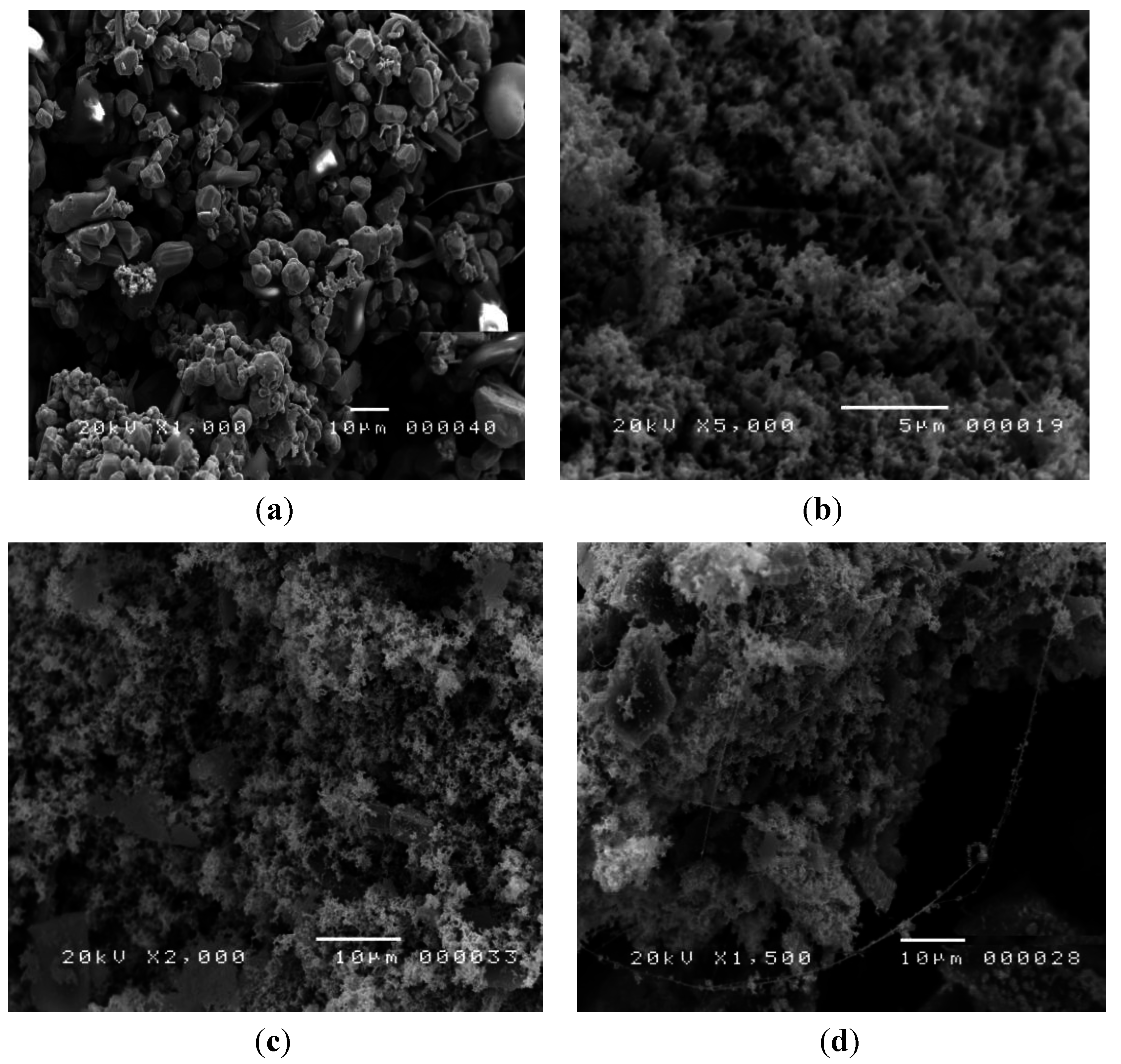 Coatings 04 00320 g001