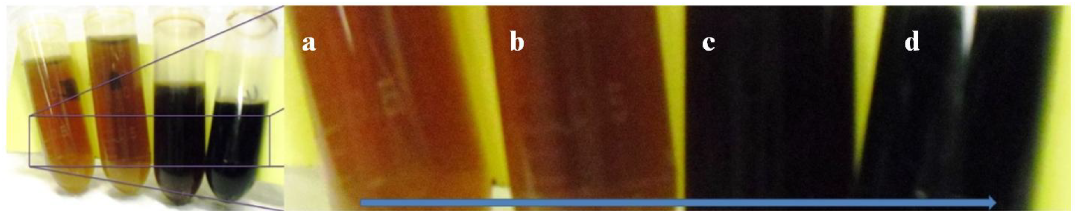 Coatings 04 00340 g007