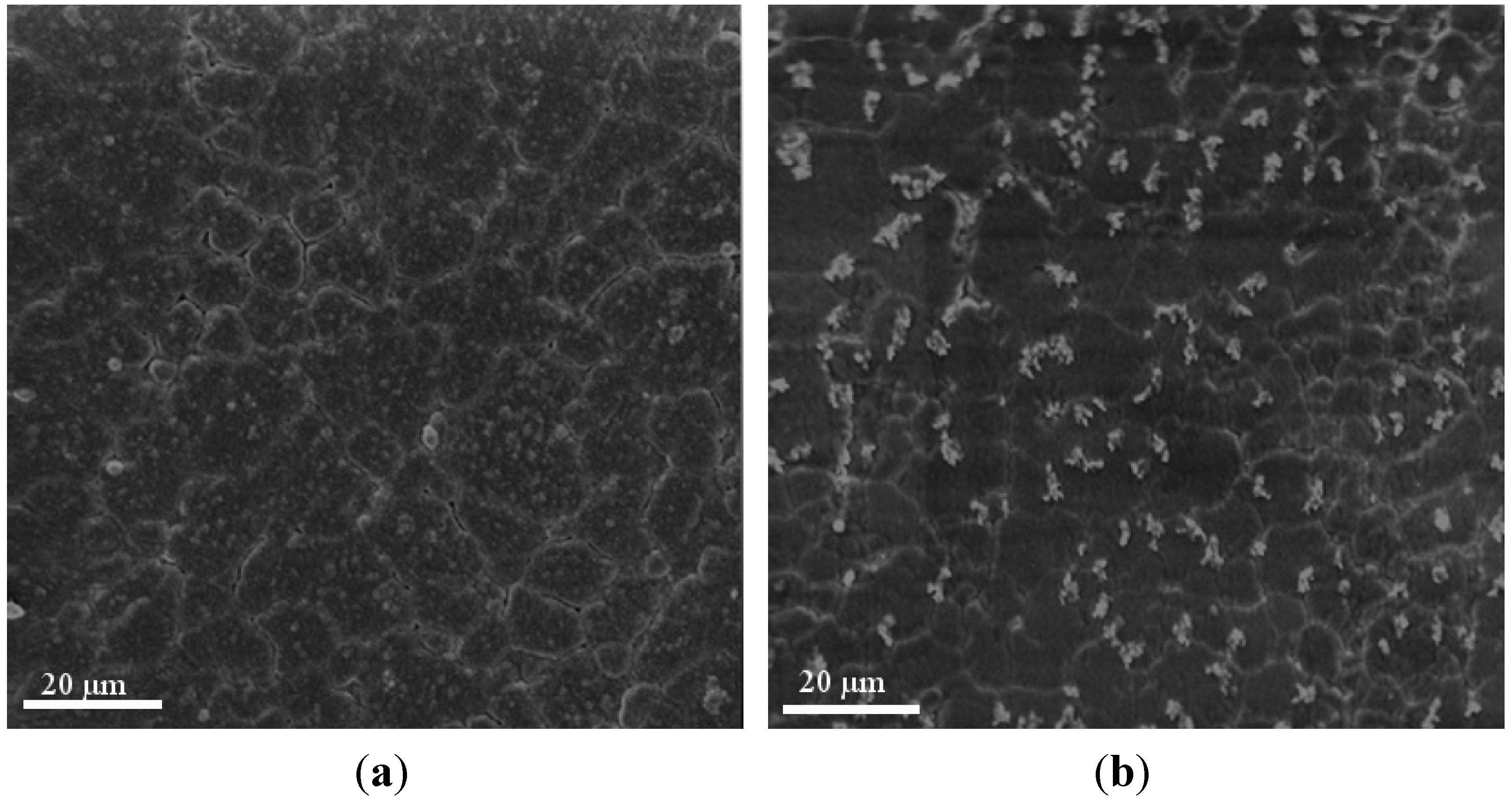 Coatings 04 00433 g004 1024