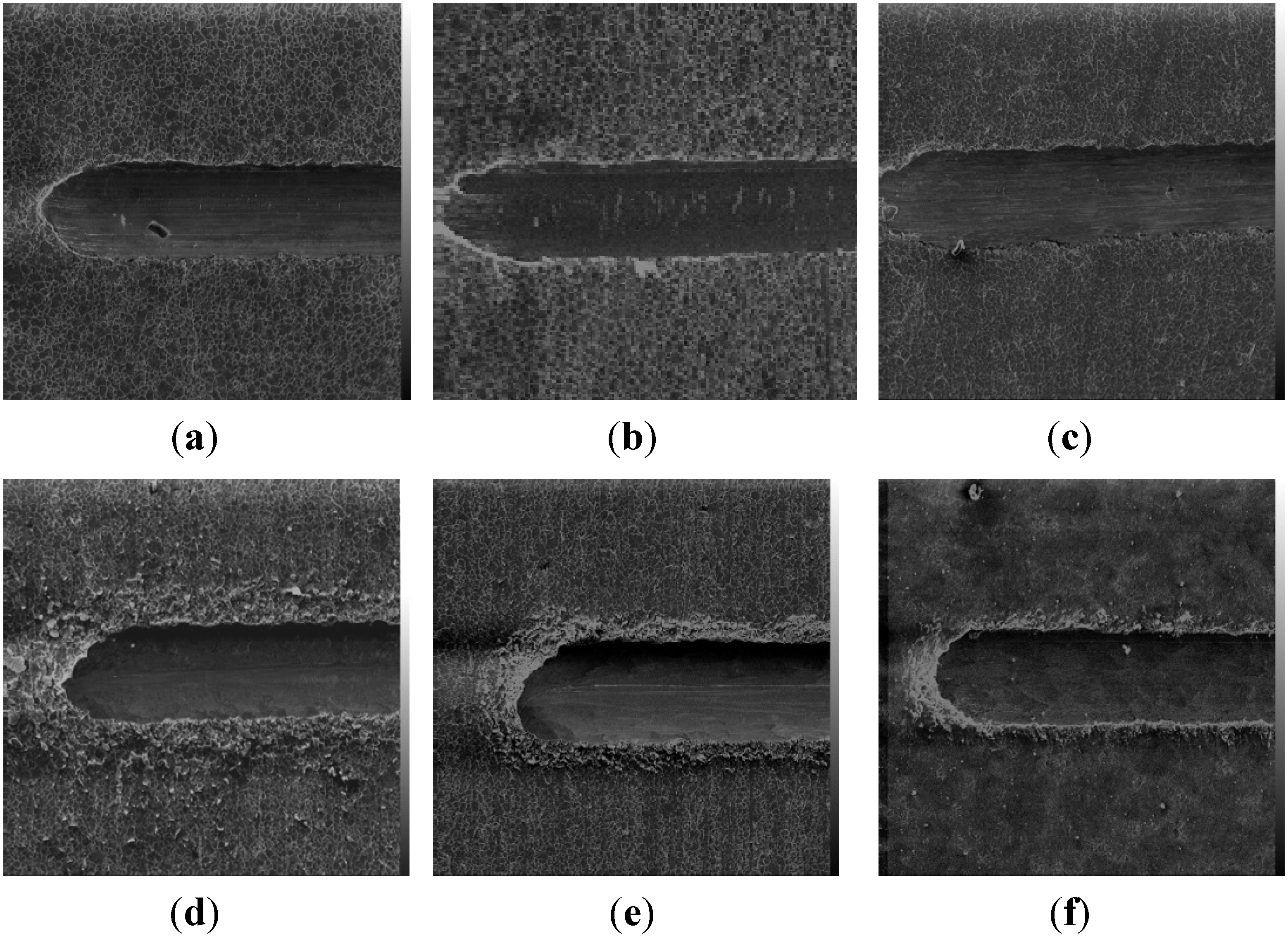 Coatings 04 00433 g005 1024