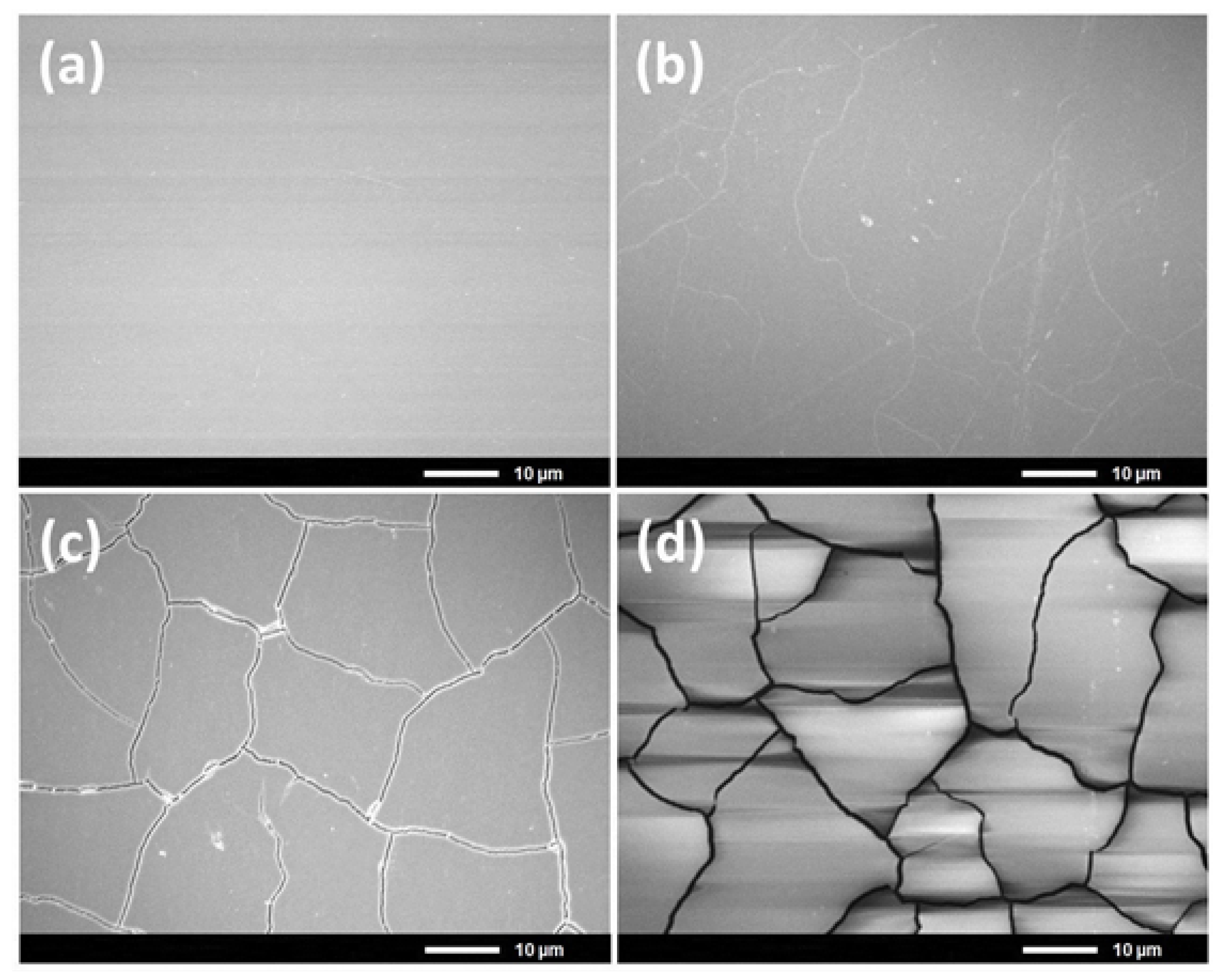 Coatings 04 00497 g002