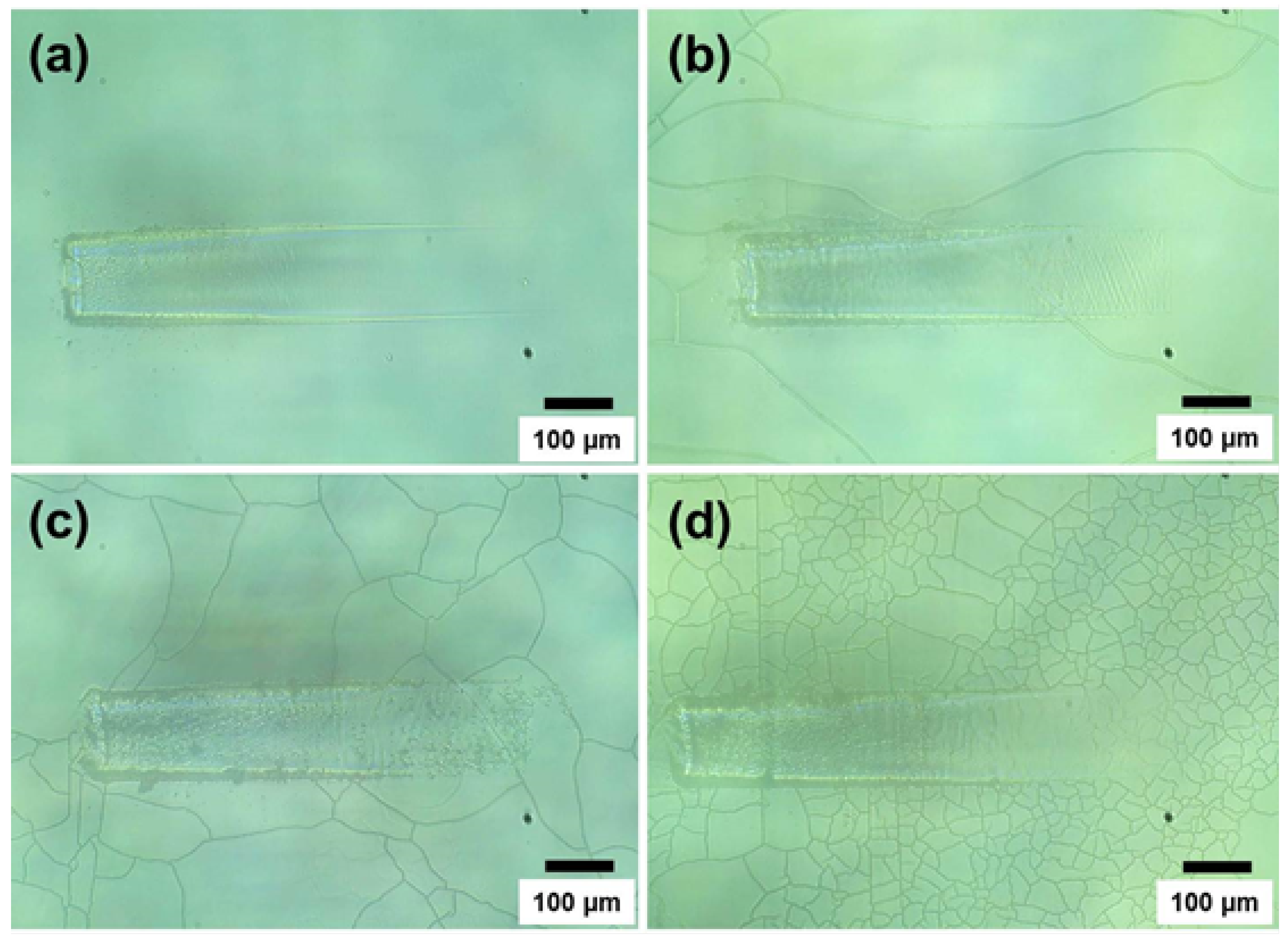 Coatings 04 00497 g009