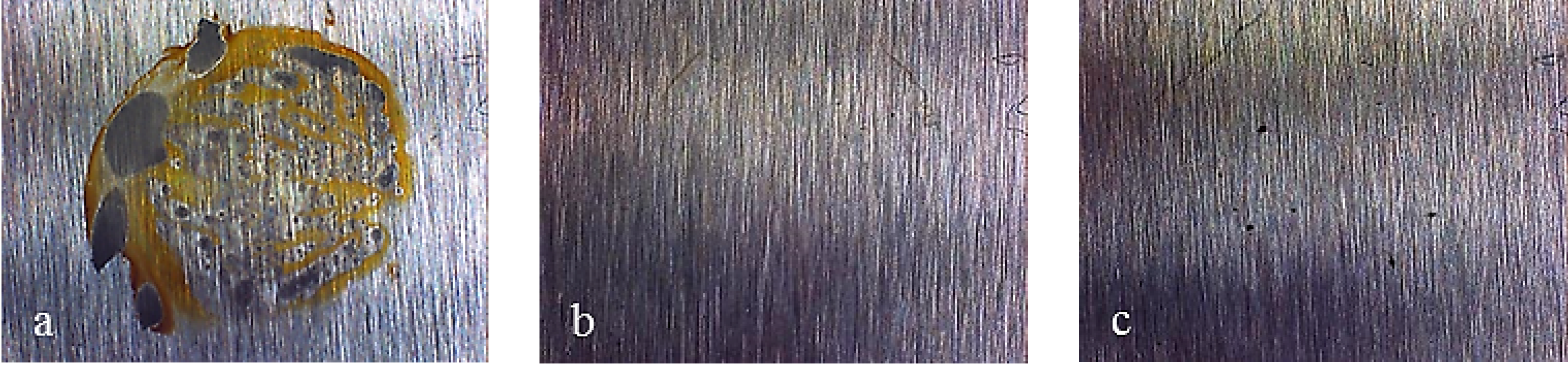 Coatings 04 00508 g011 1024