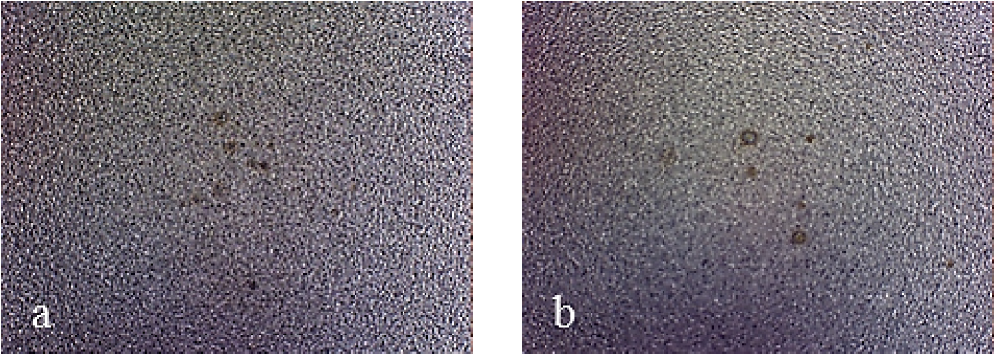 Coatings 04 00508 g013 1024