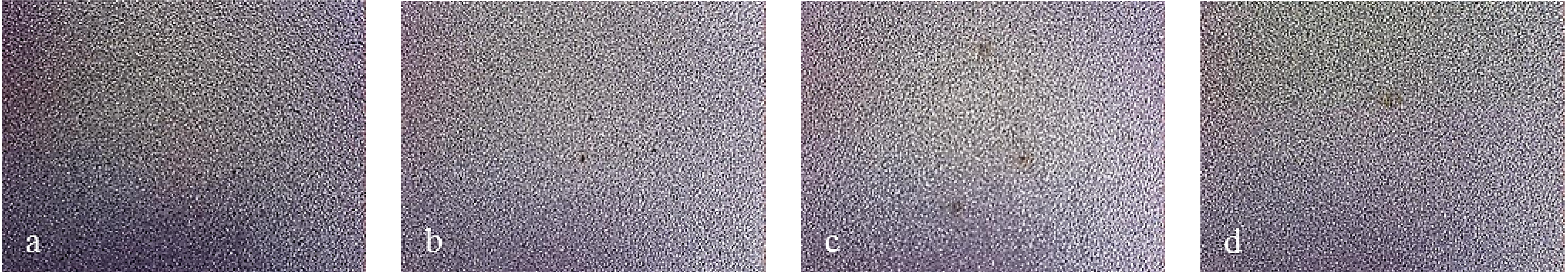 Coatings 04 00508 g014 1024