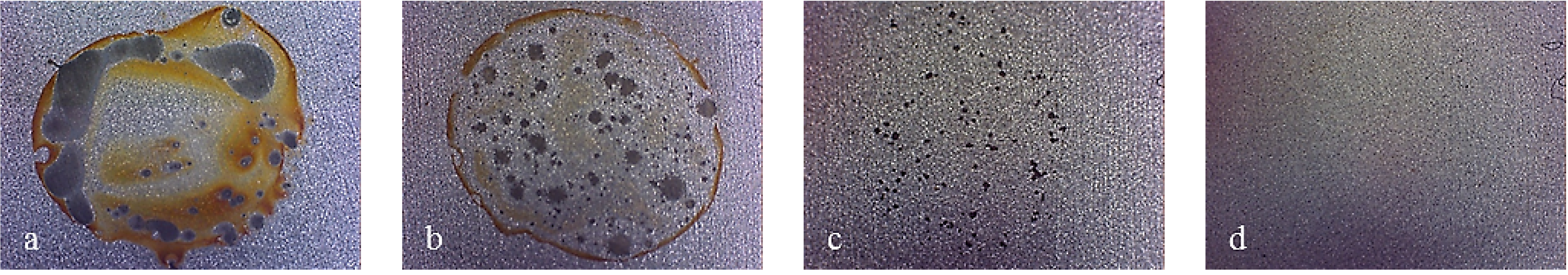 Coatings 04 00508 g017 1024