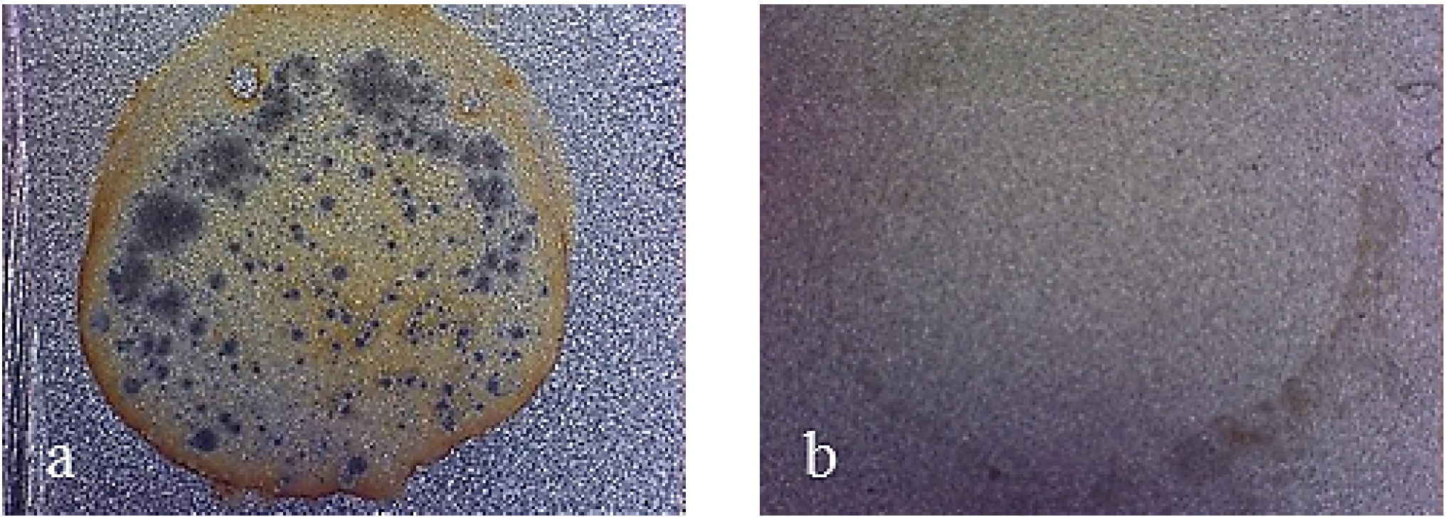 Coatings 04 00508 g018 1024