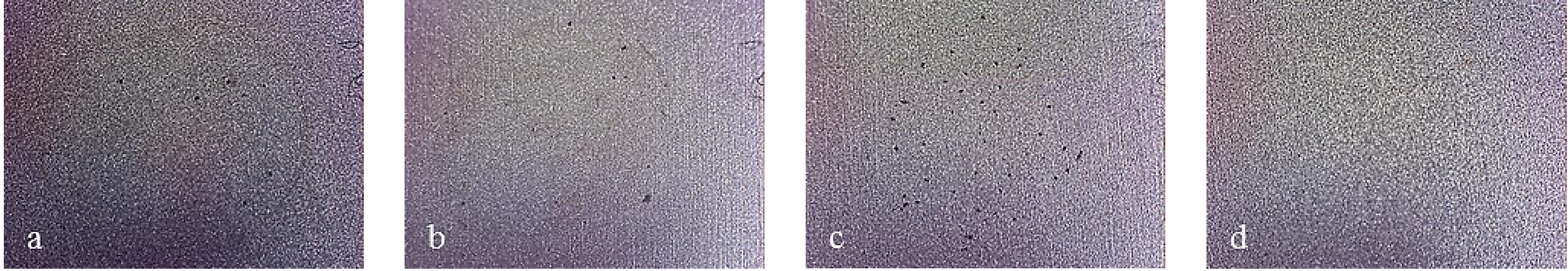 Coatings 04 00508 g019 1024