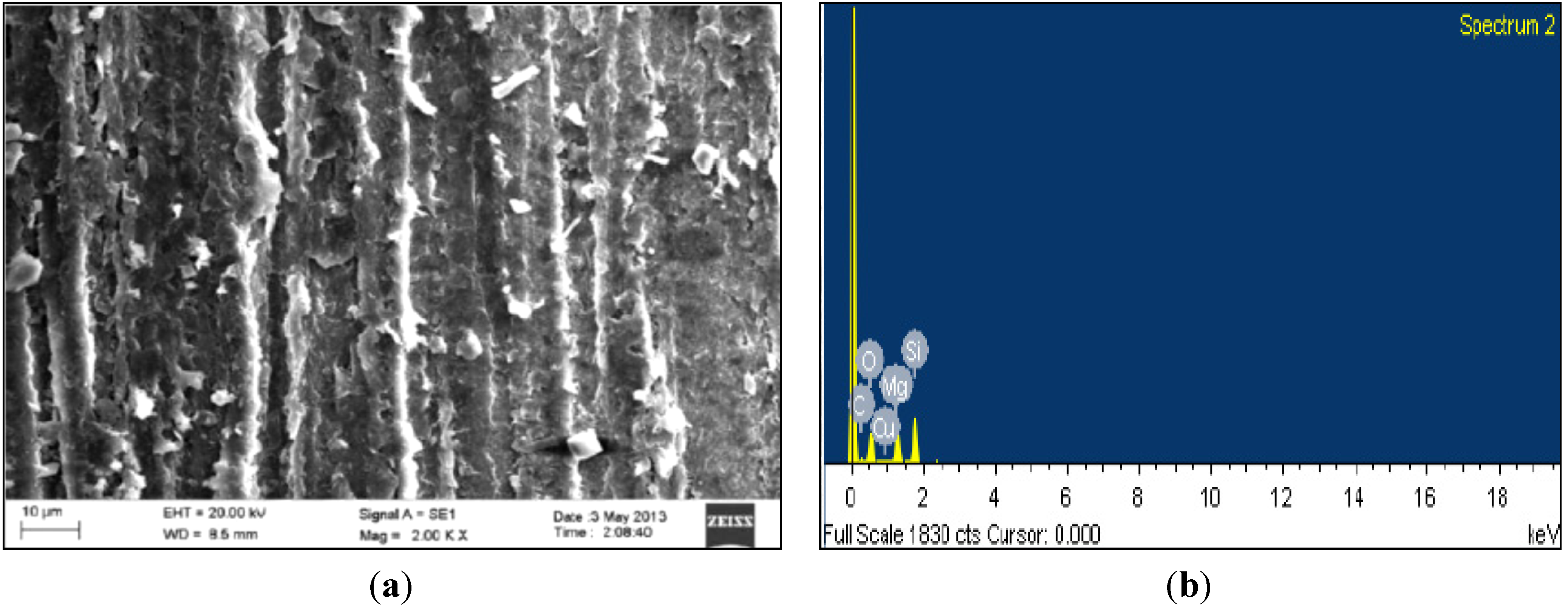 Coatings 04 00574 g002 1024