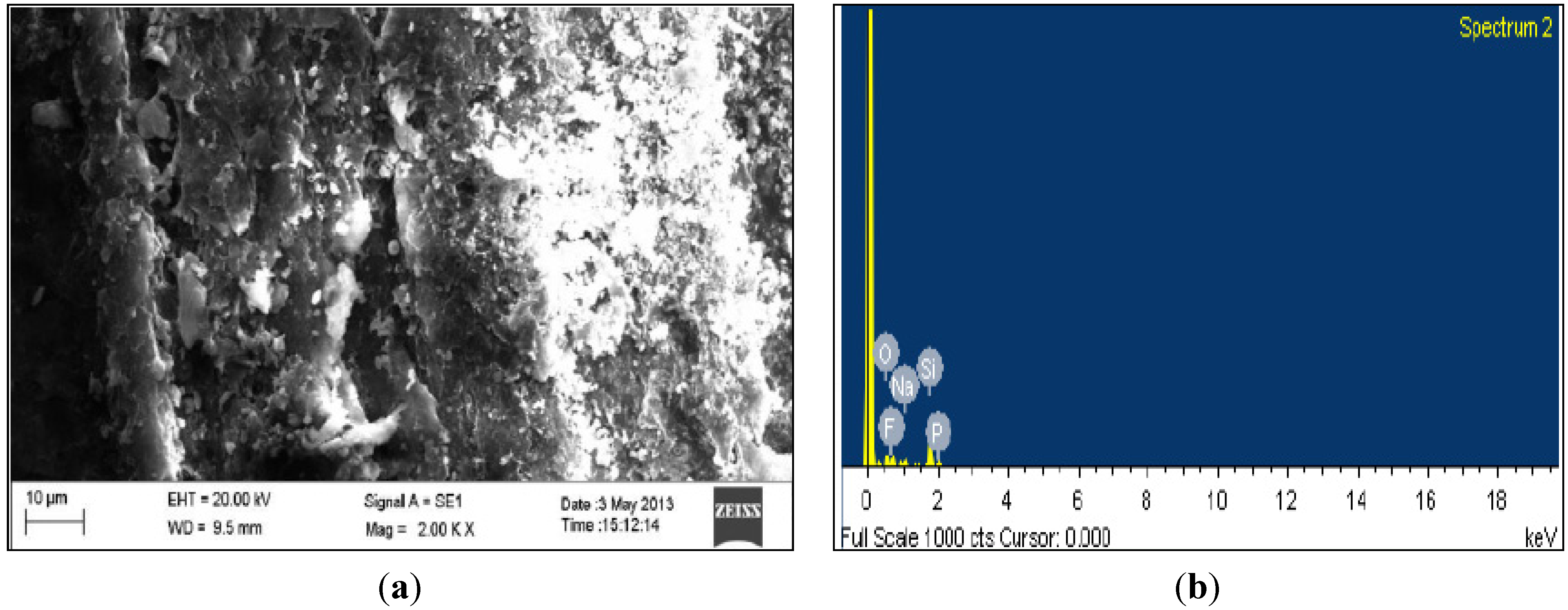 Coatings 04 00574 g004 1024