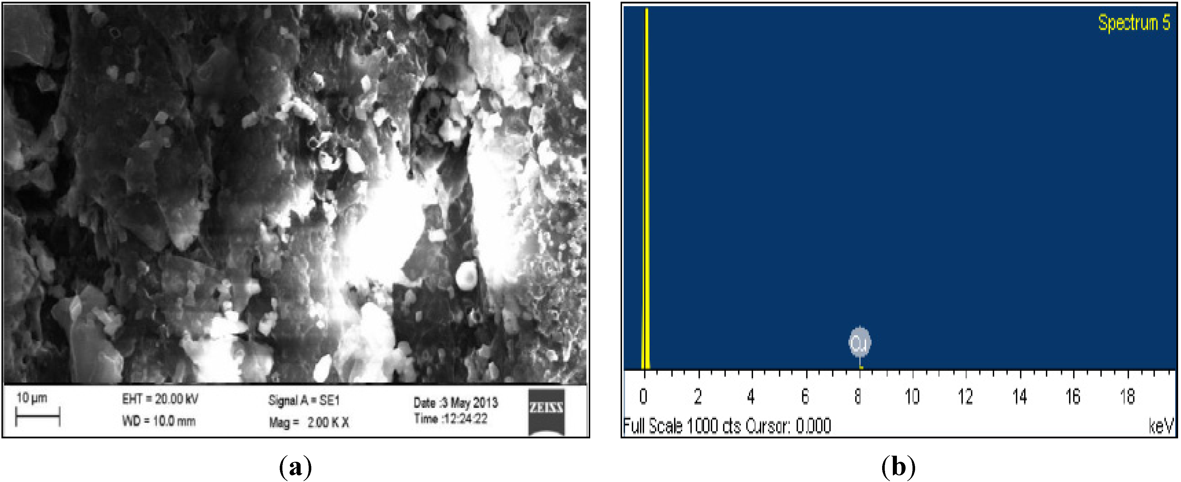 Coatings 04 00574 g006 1024