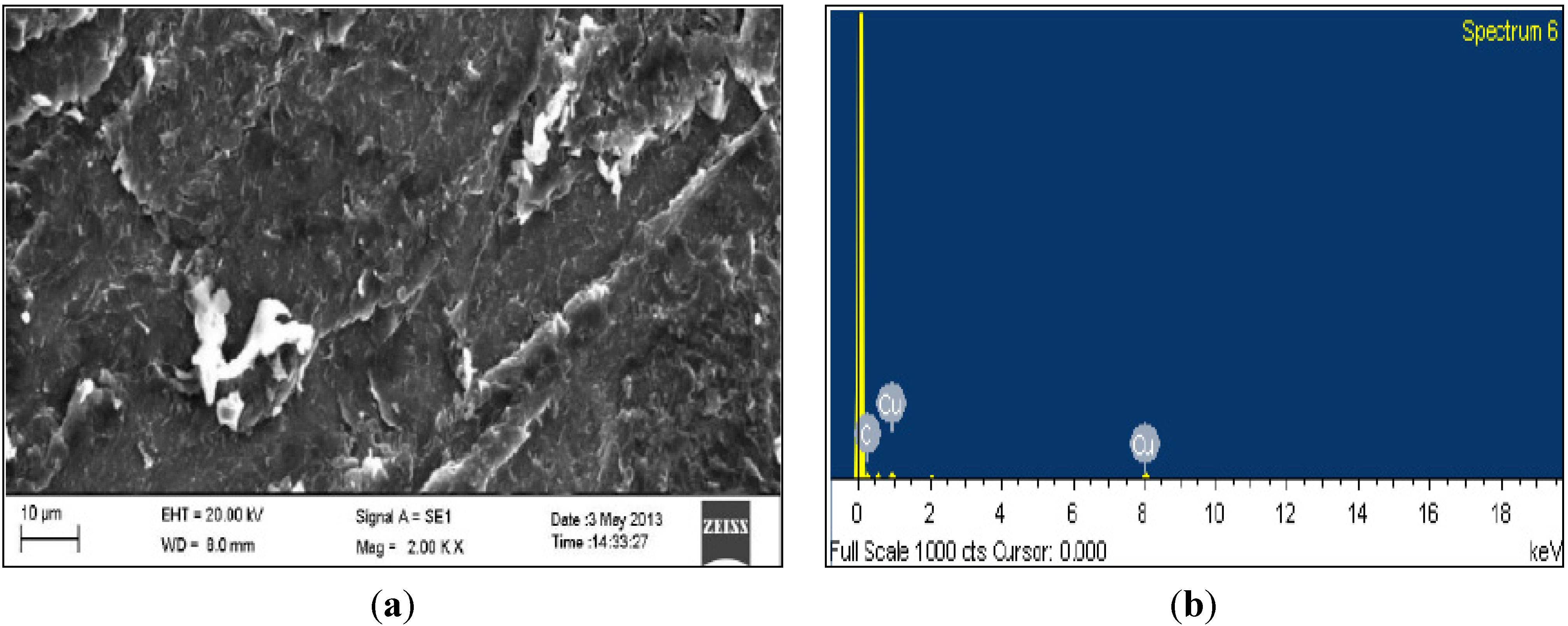 Coatings 04 00574 g007 1024