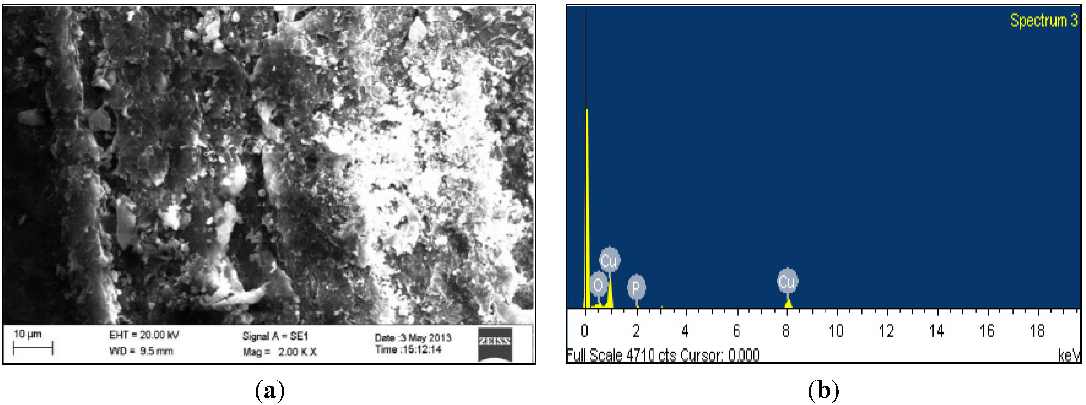 Coatings 04 00574 g008 1024