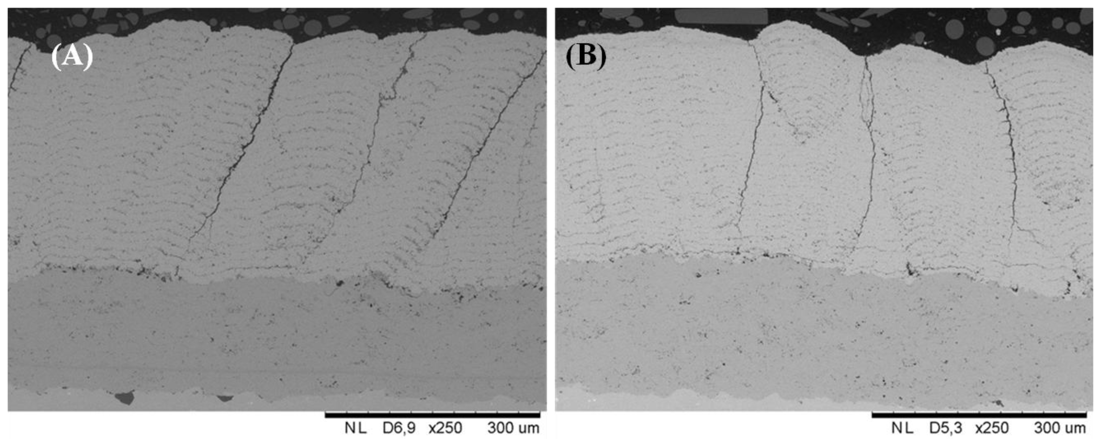 Coatings 04 00630 g003 1024