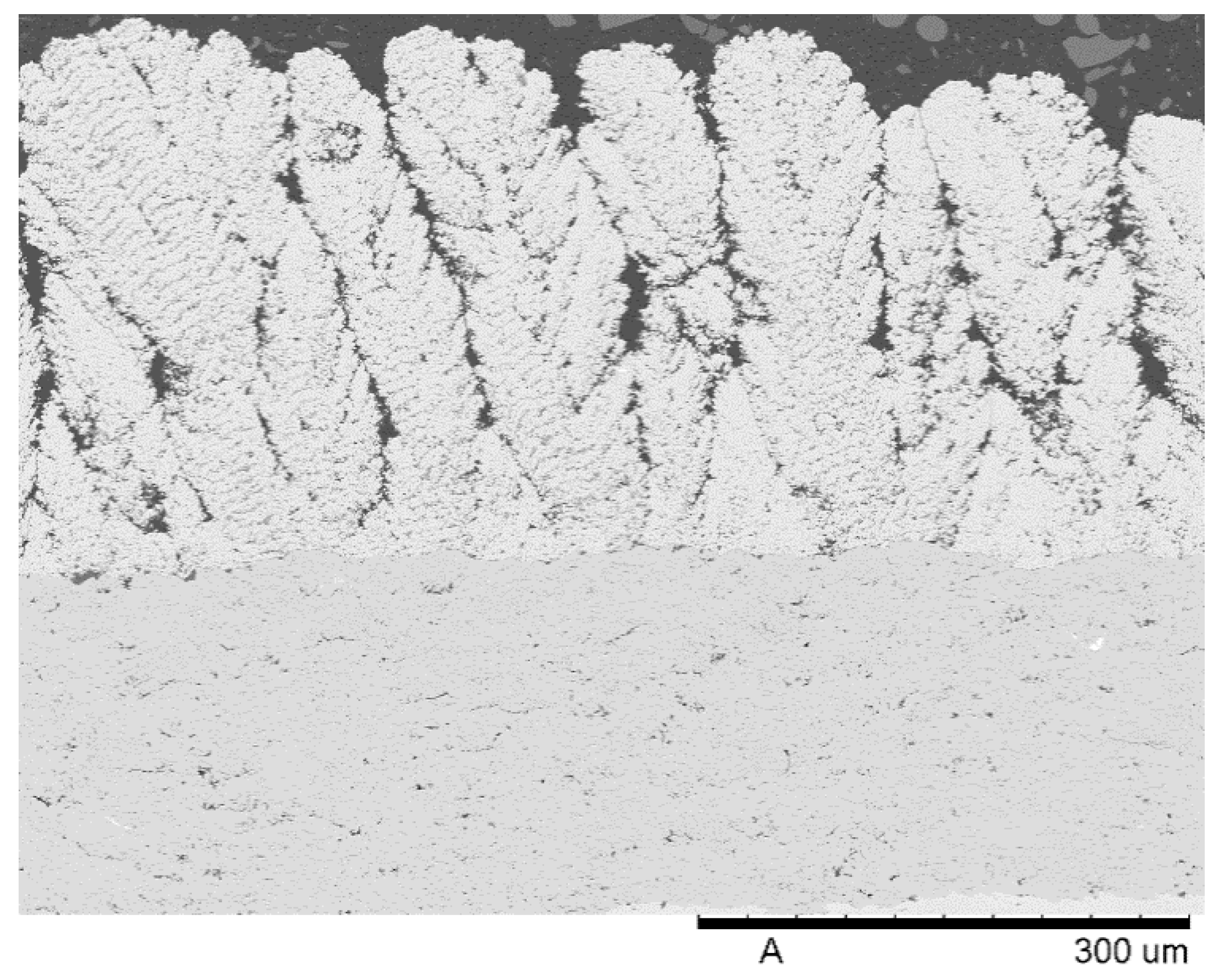Coatings 04 00630 g004 1024