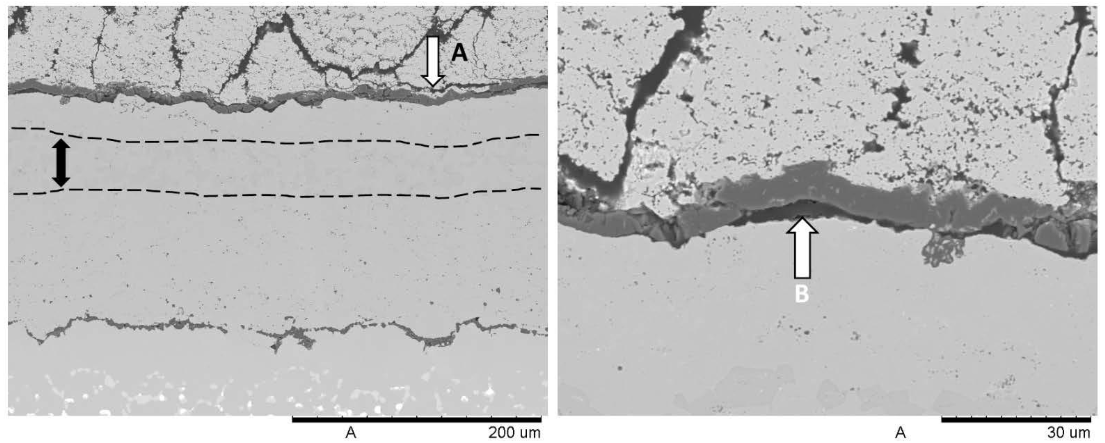 Coatings 04 00630 g010 1024