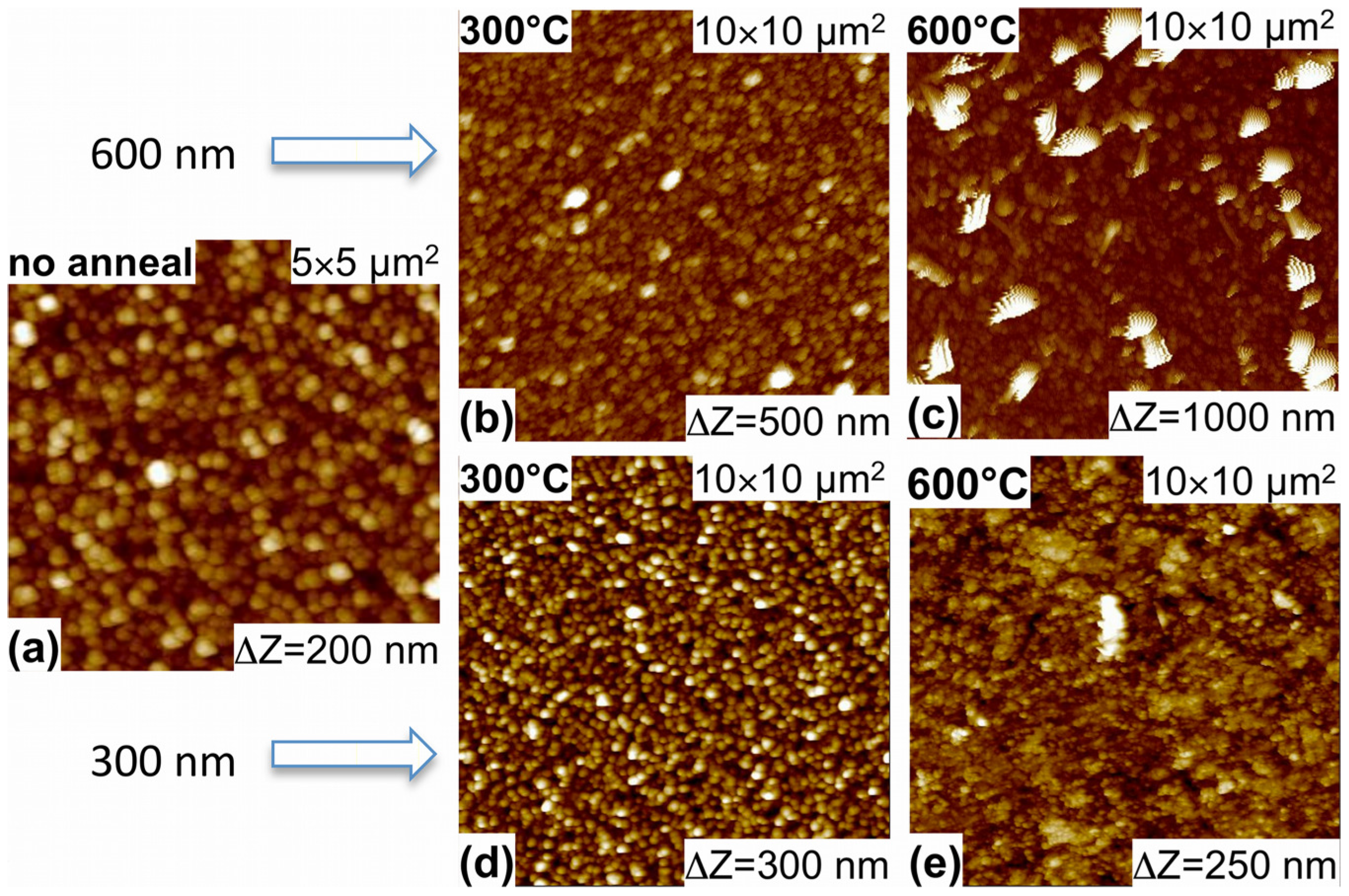 Coatings 04 00651 g001 1024