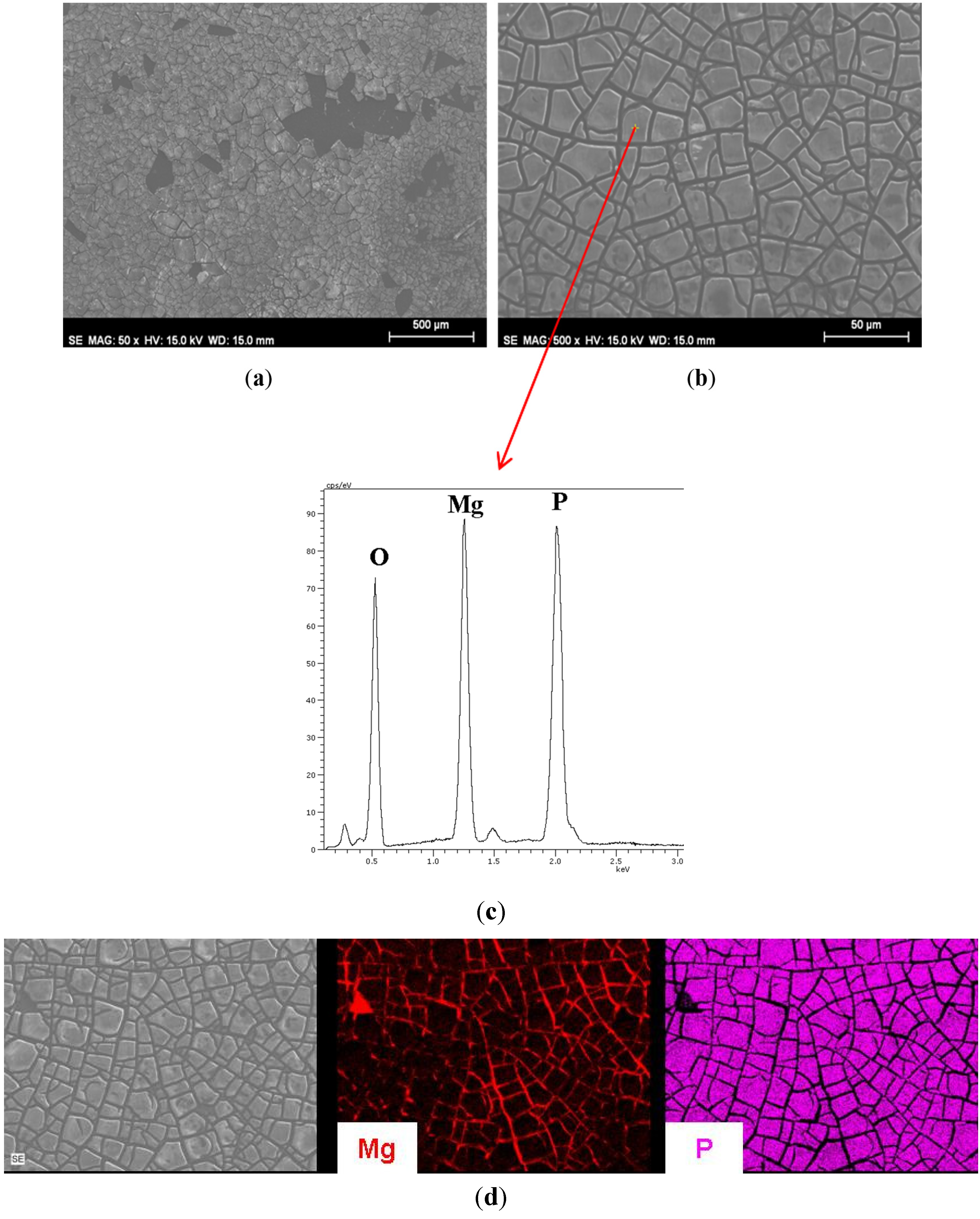 Coatings 05 00039 g003 1024