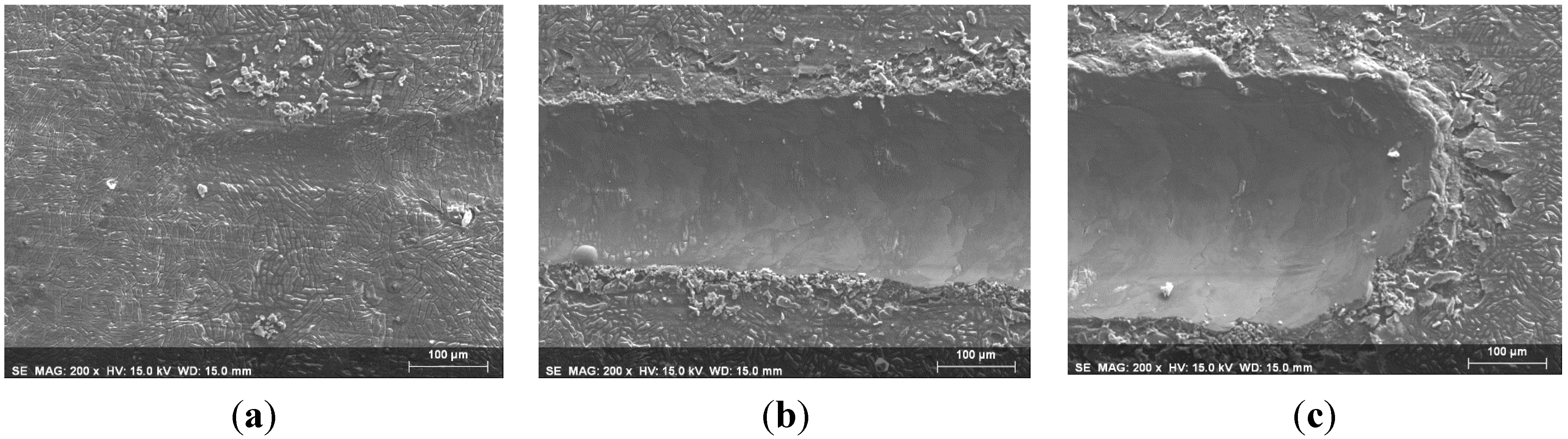 Coatings 05 00039 g011 1024