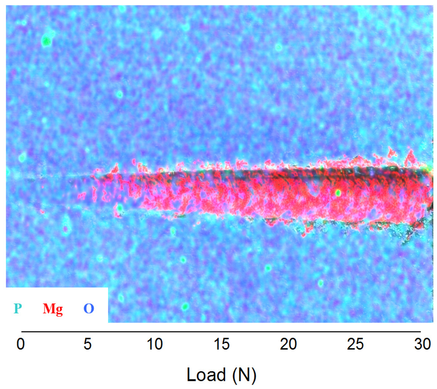 Coatings 05 00039 g012 1024