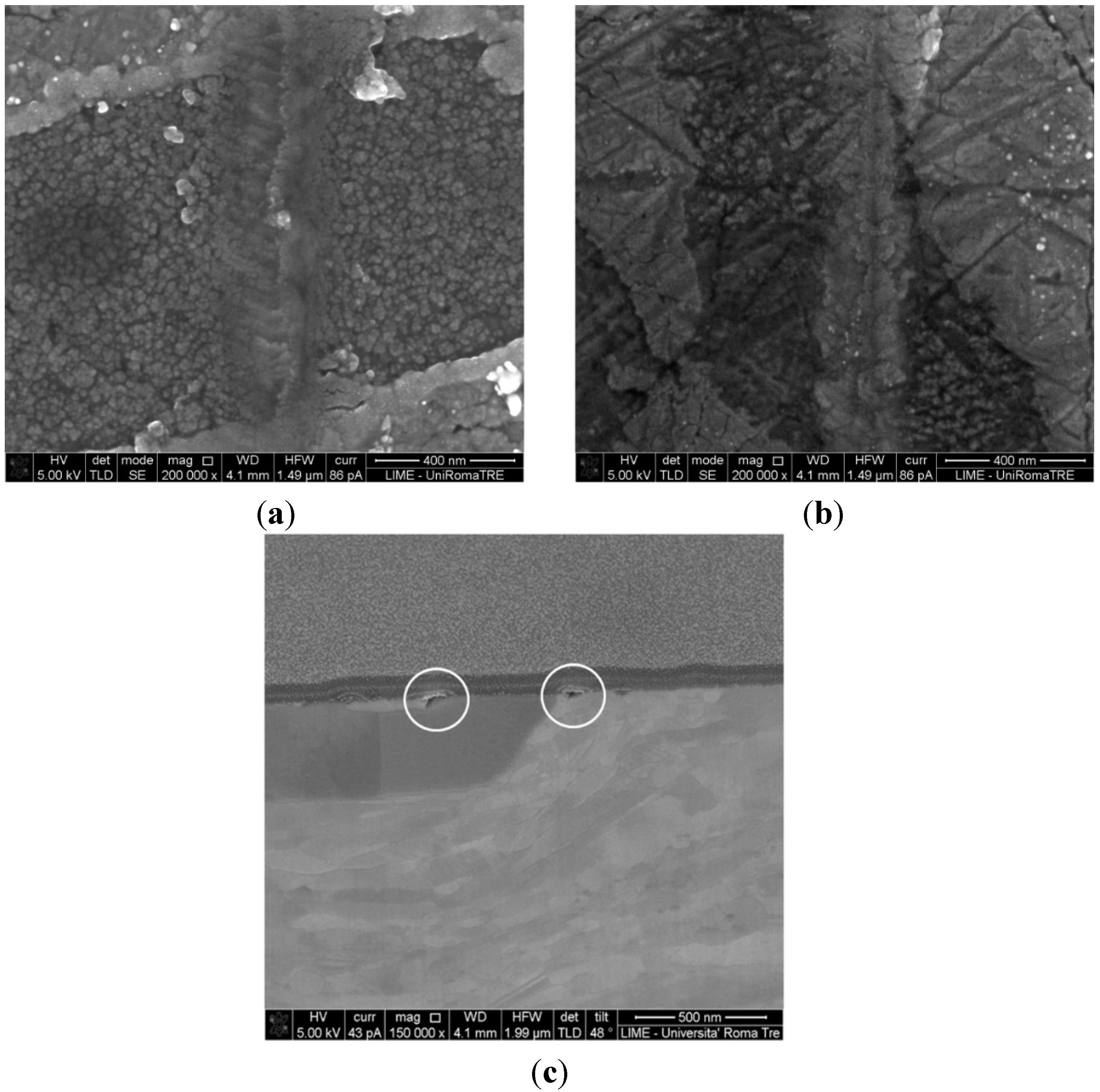 Coatings 05 00078 g005 1024