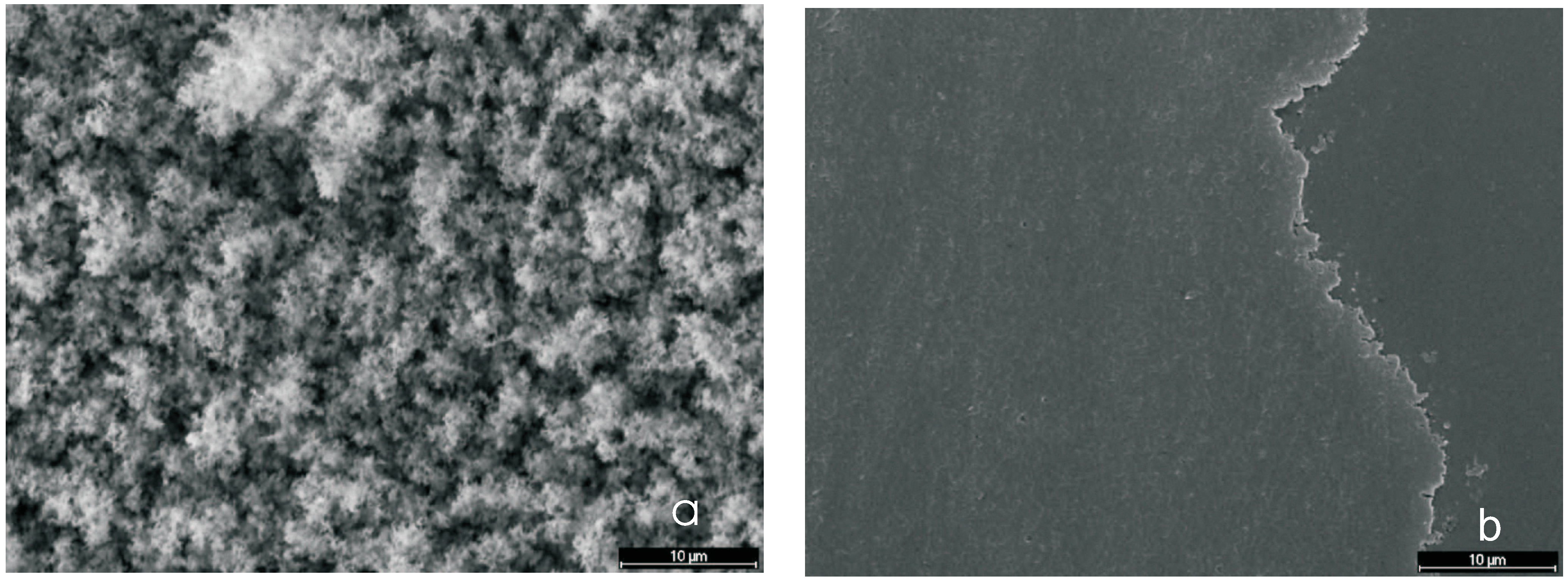 Coatings 05 00142 g026