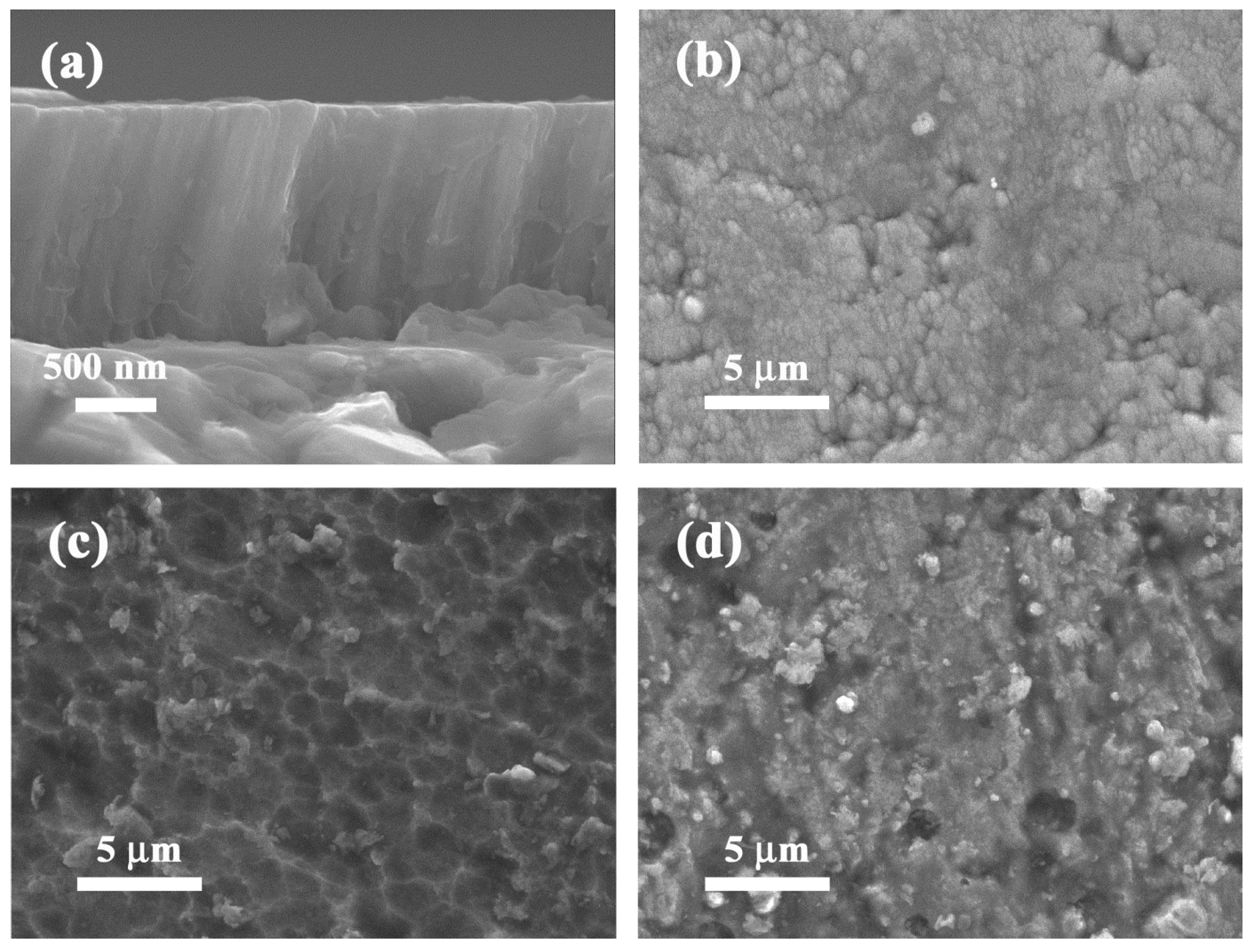 Coatings 05 00312 g005