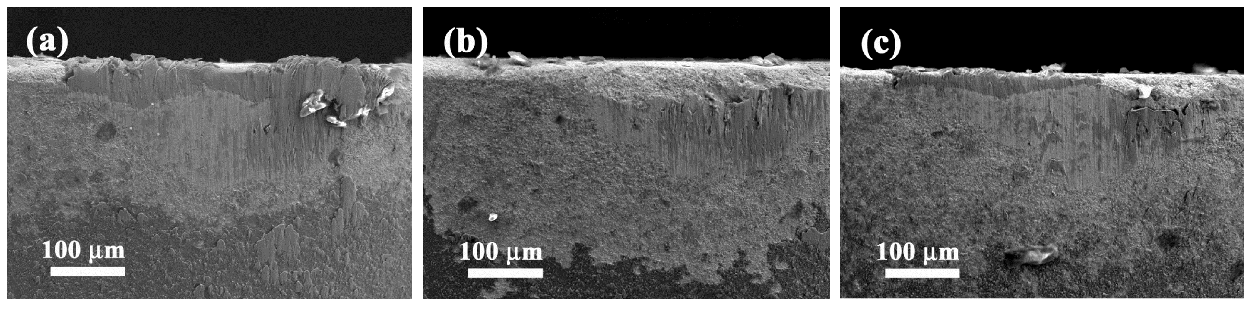 Coatings 05 00312 g010