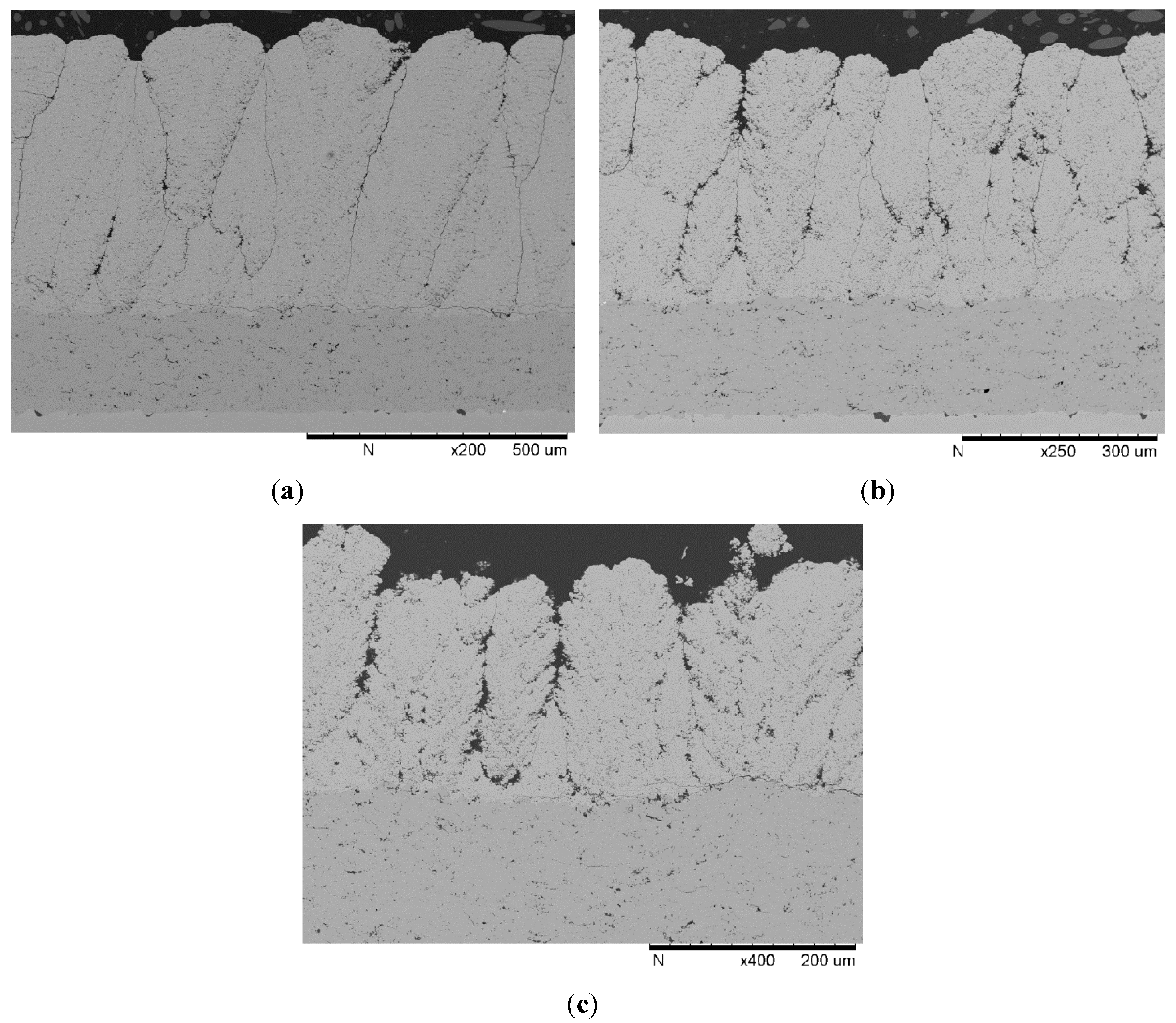 Coatings 05 00338 g005 1024