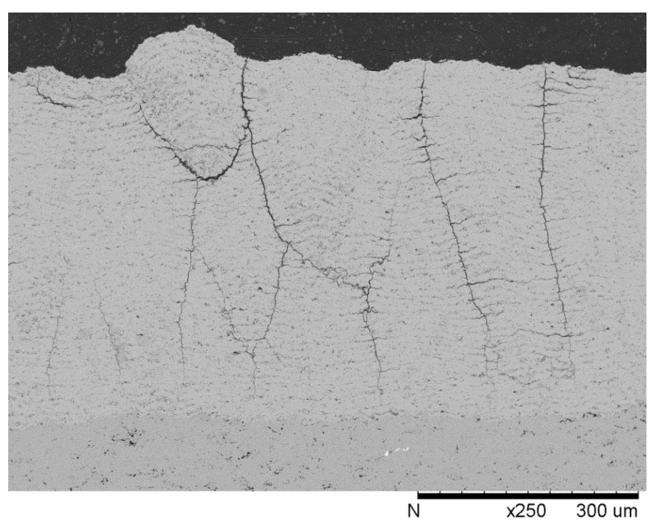 Coatings 05 00338 g008 1024