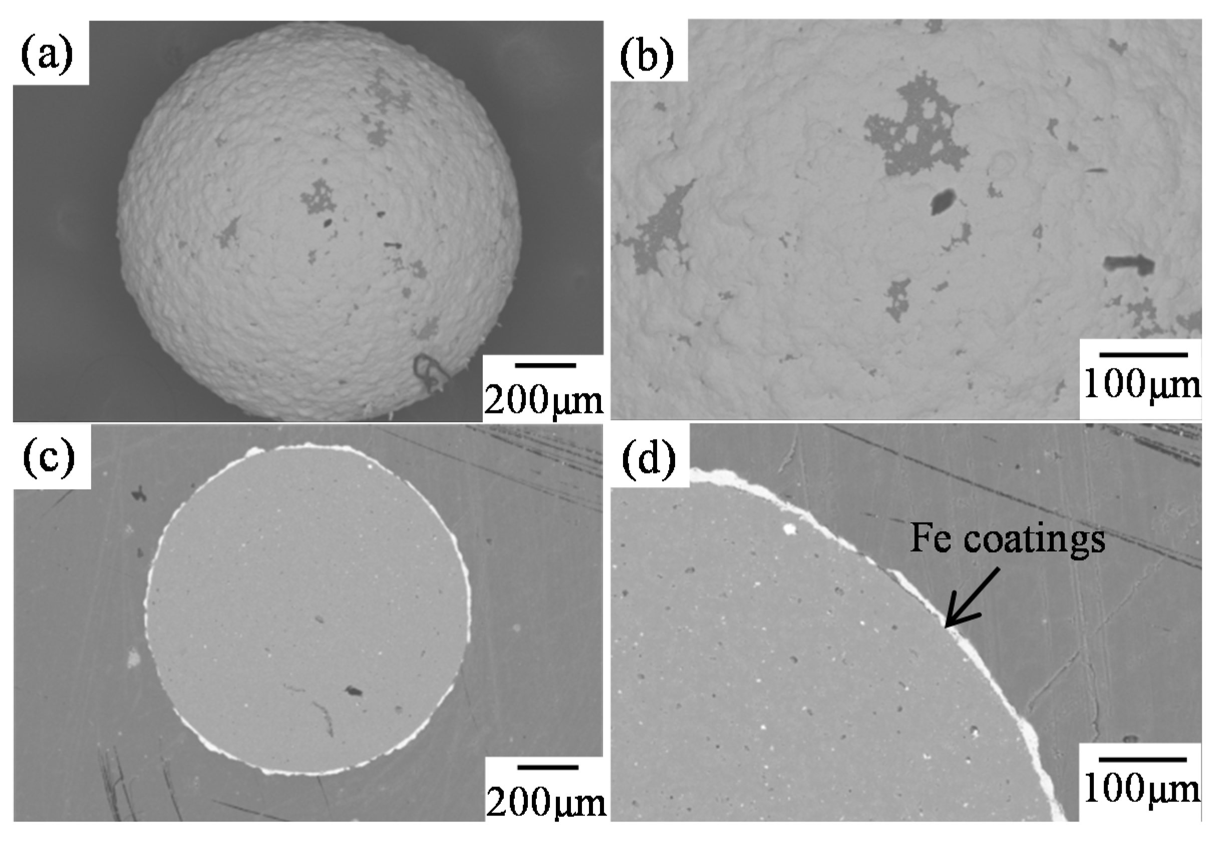 Coatings 05 00425 g010