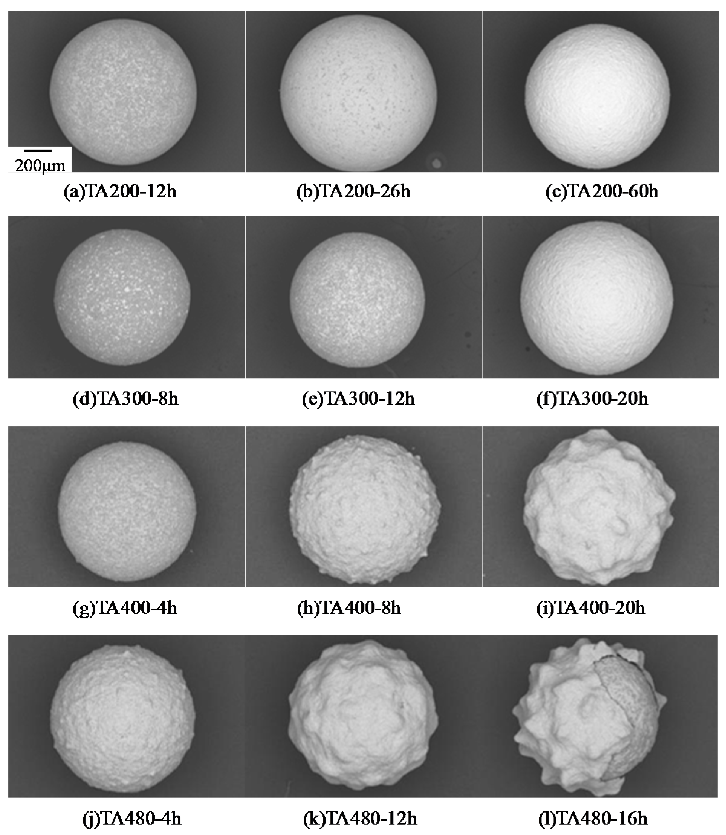 Coatings 05 00425 g017