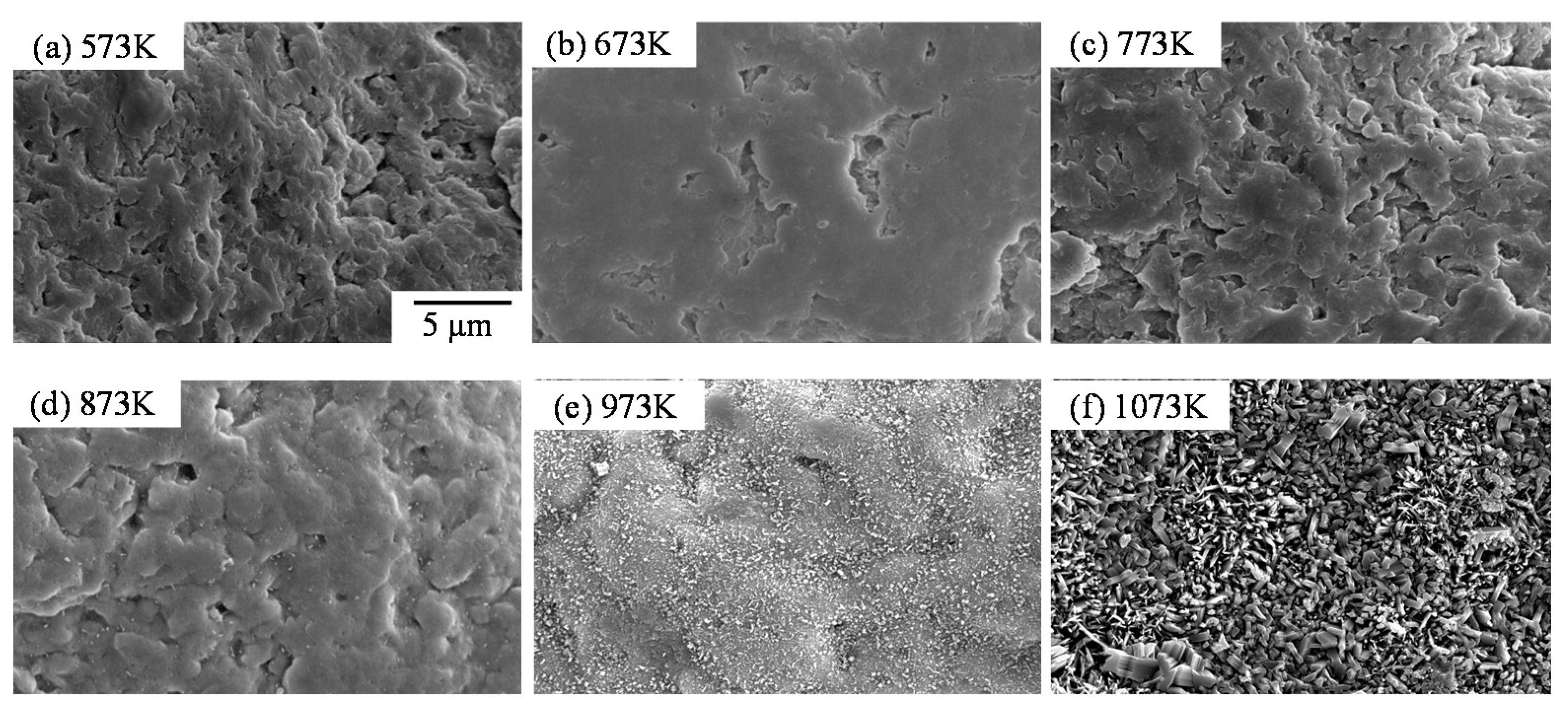 Coatings 05 00425 g025
