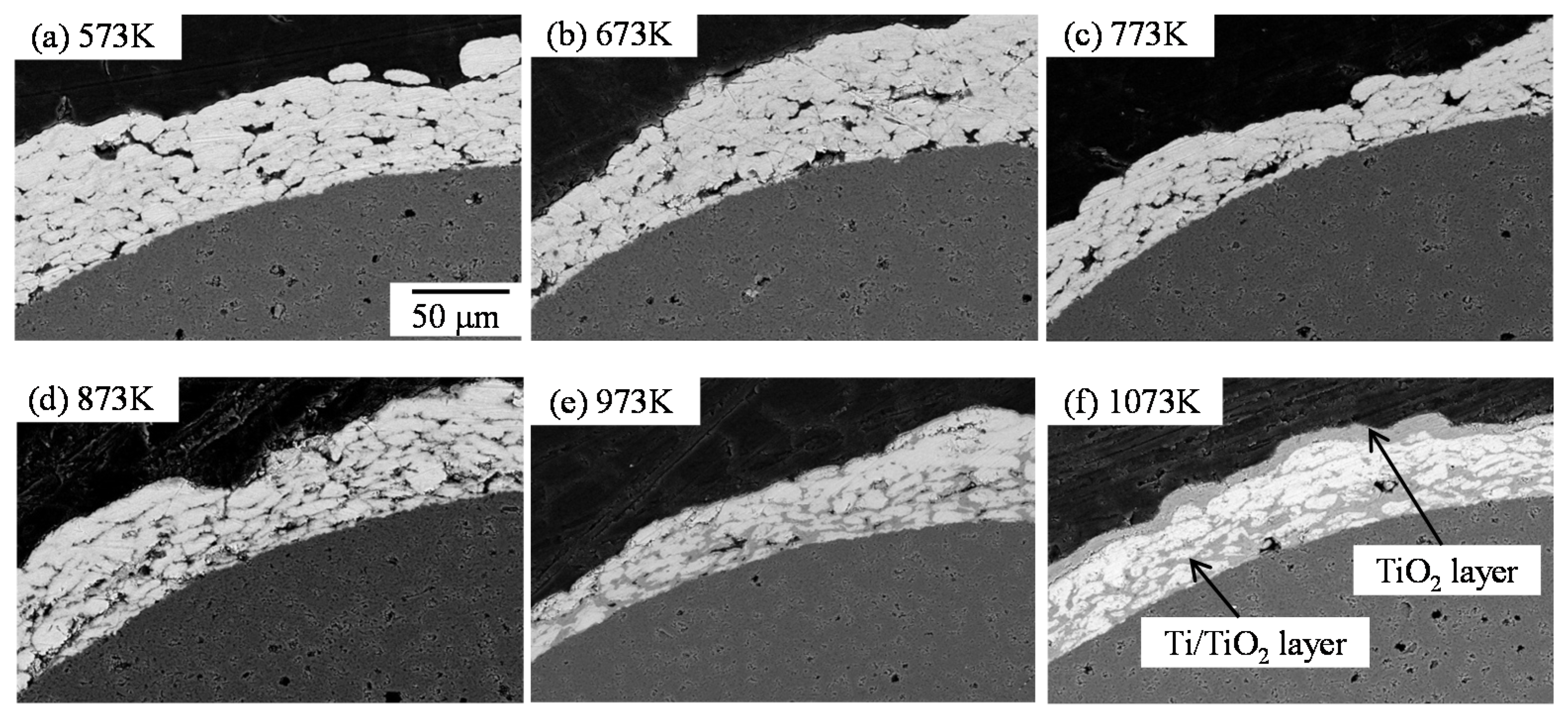 Coatings 05 00425 g027