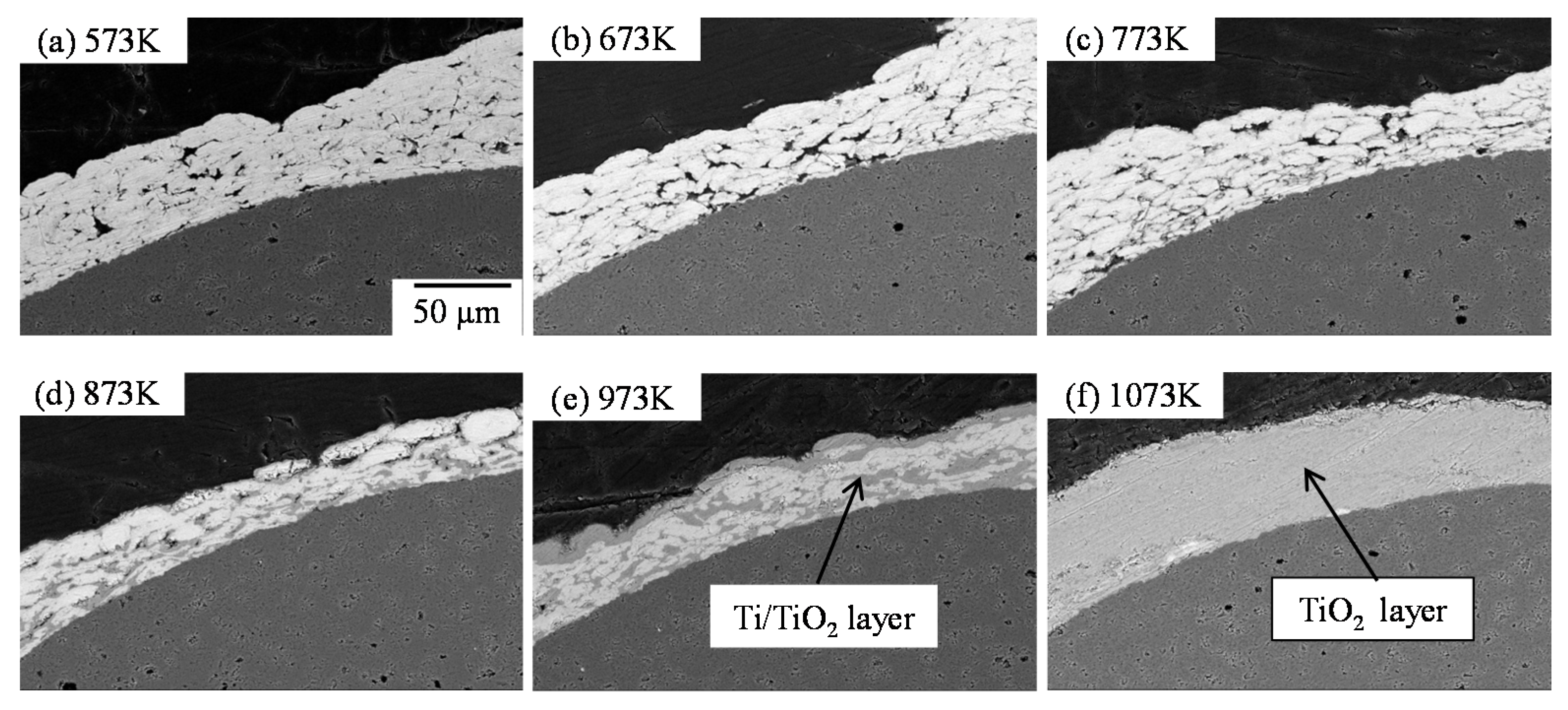 Coatings 05 00425 g028