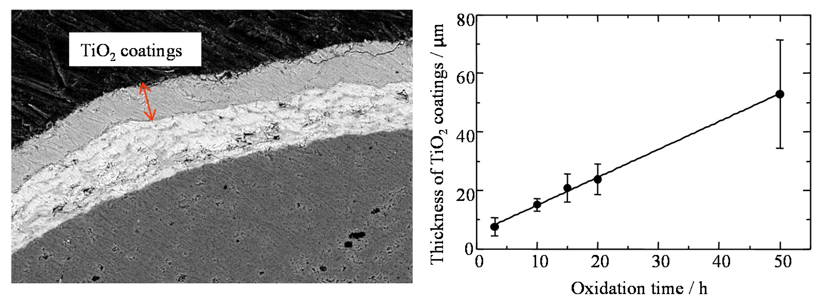 Coatings 05 00425 g029