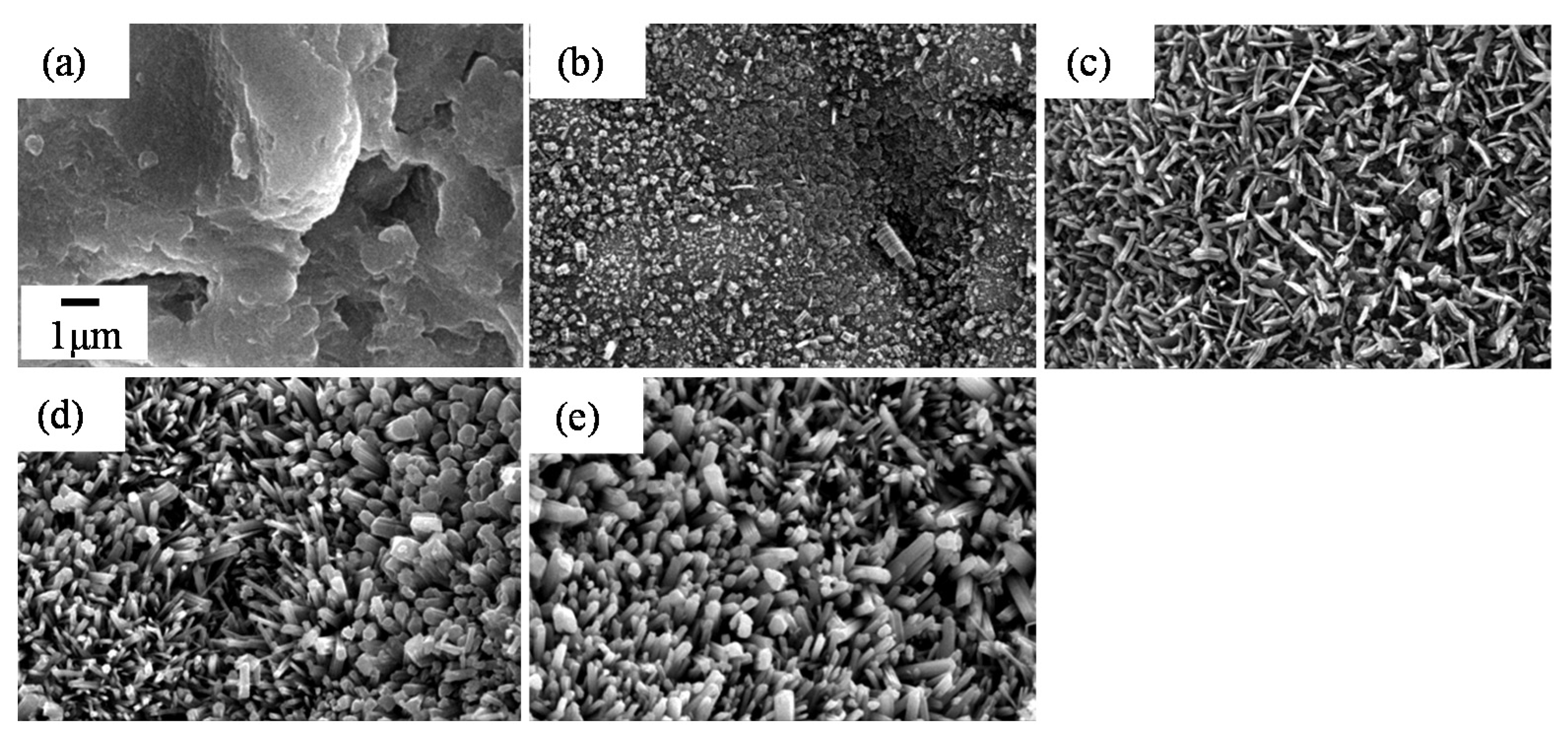 Coatings 05 00425 g032