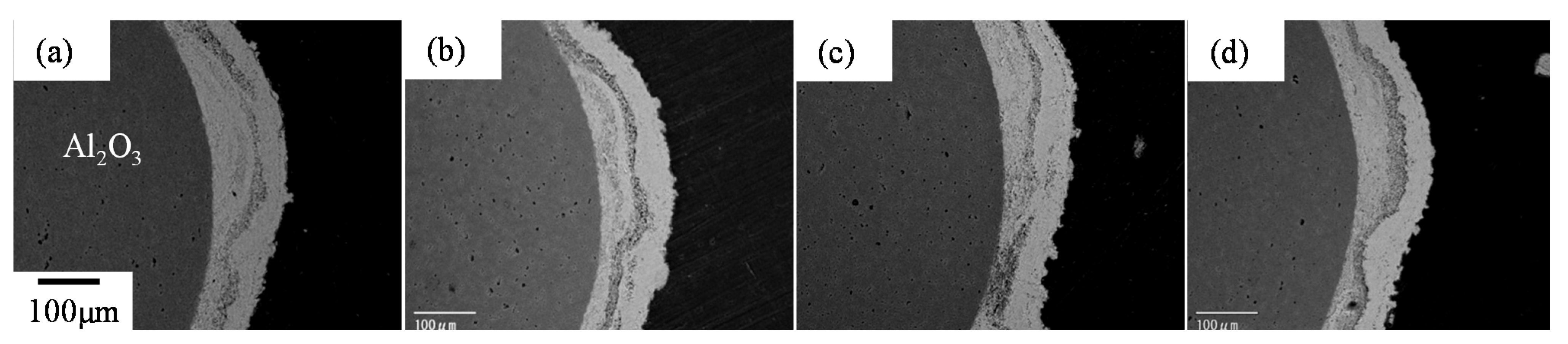 Coatings 05 00425 g038