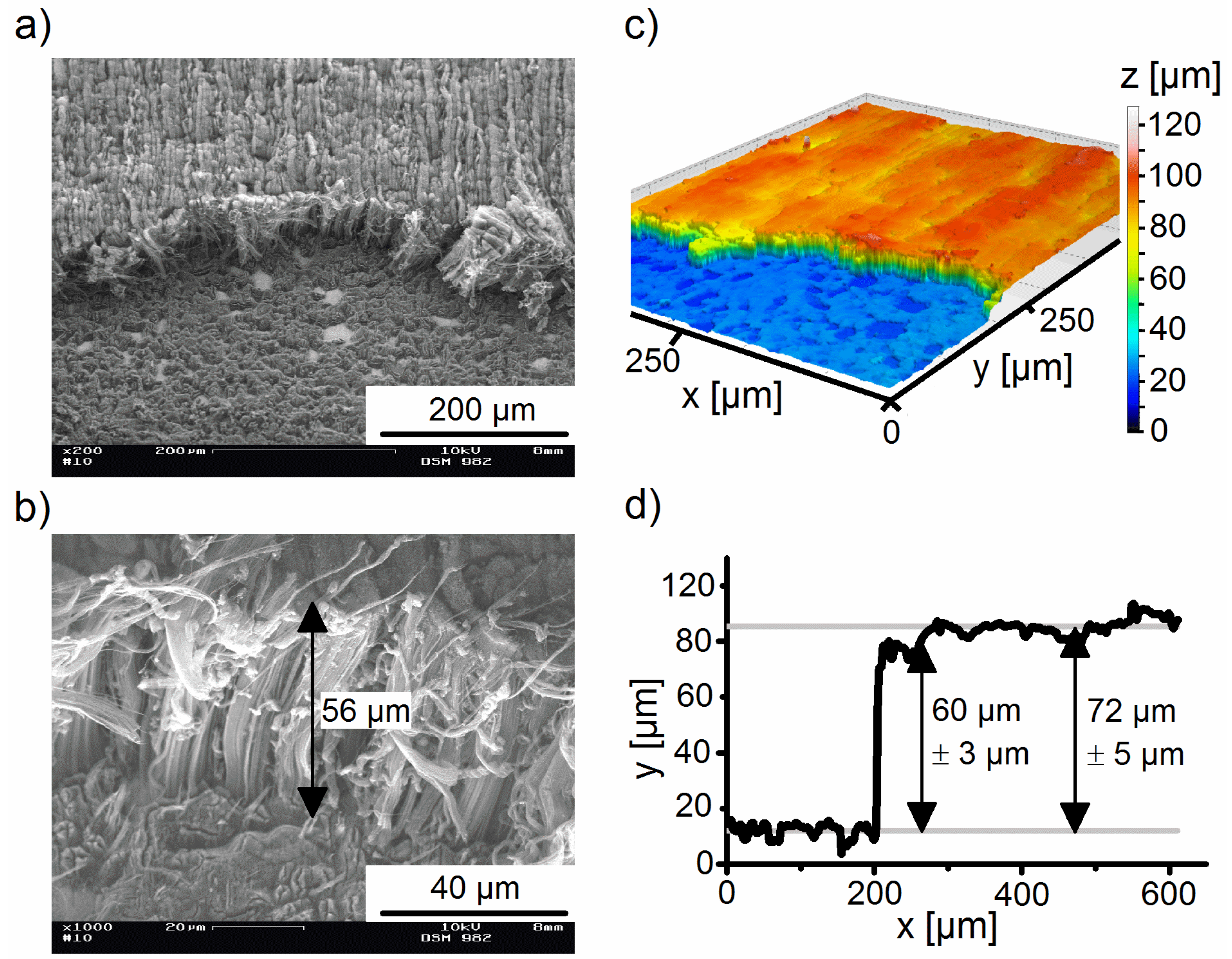 Coatings 05 00477 g002 1024