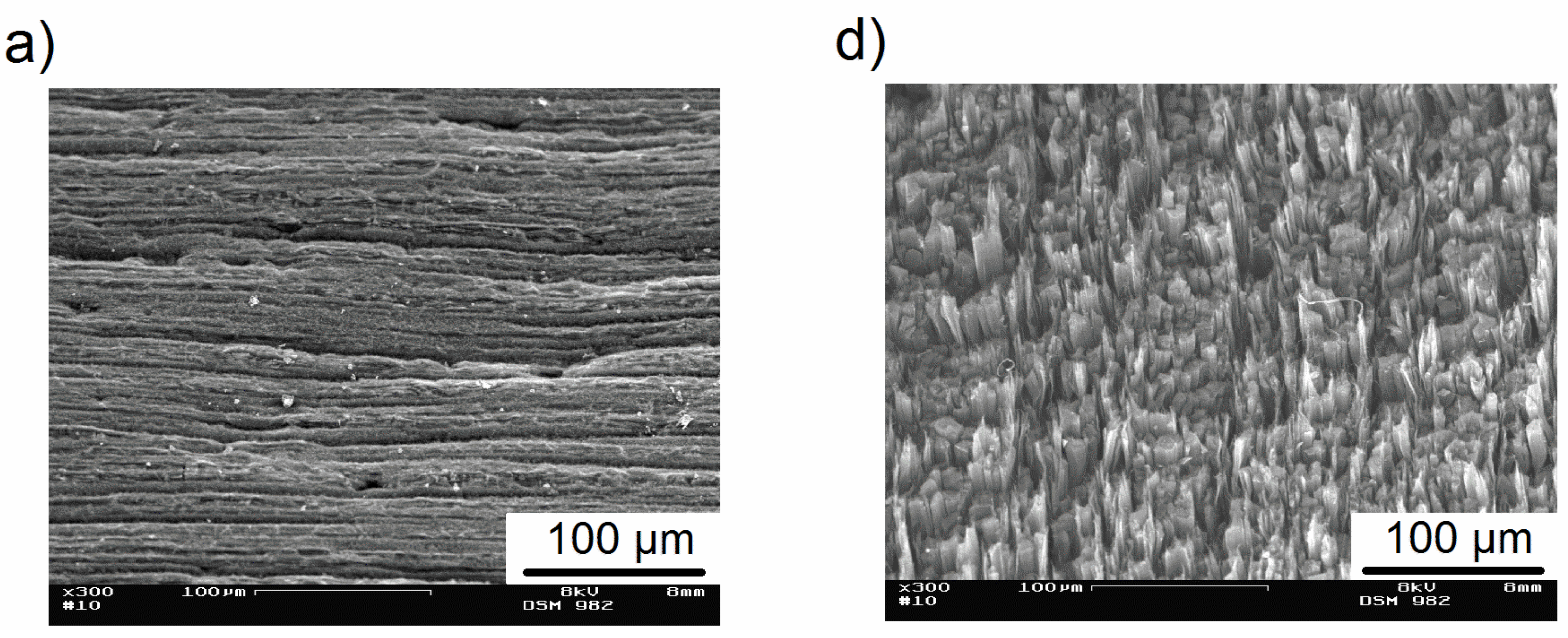 Coatings 05 00477 g003a 1024