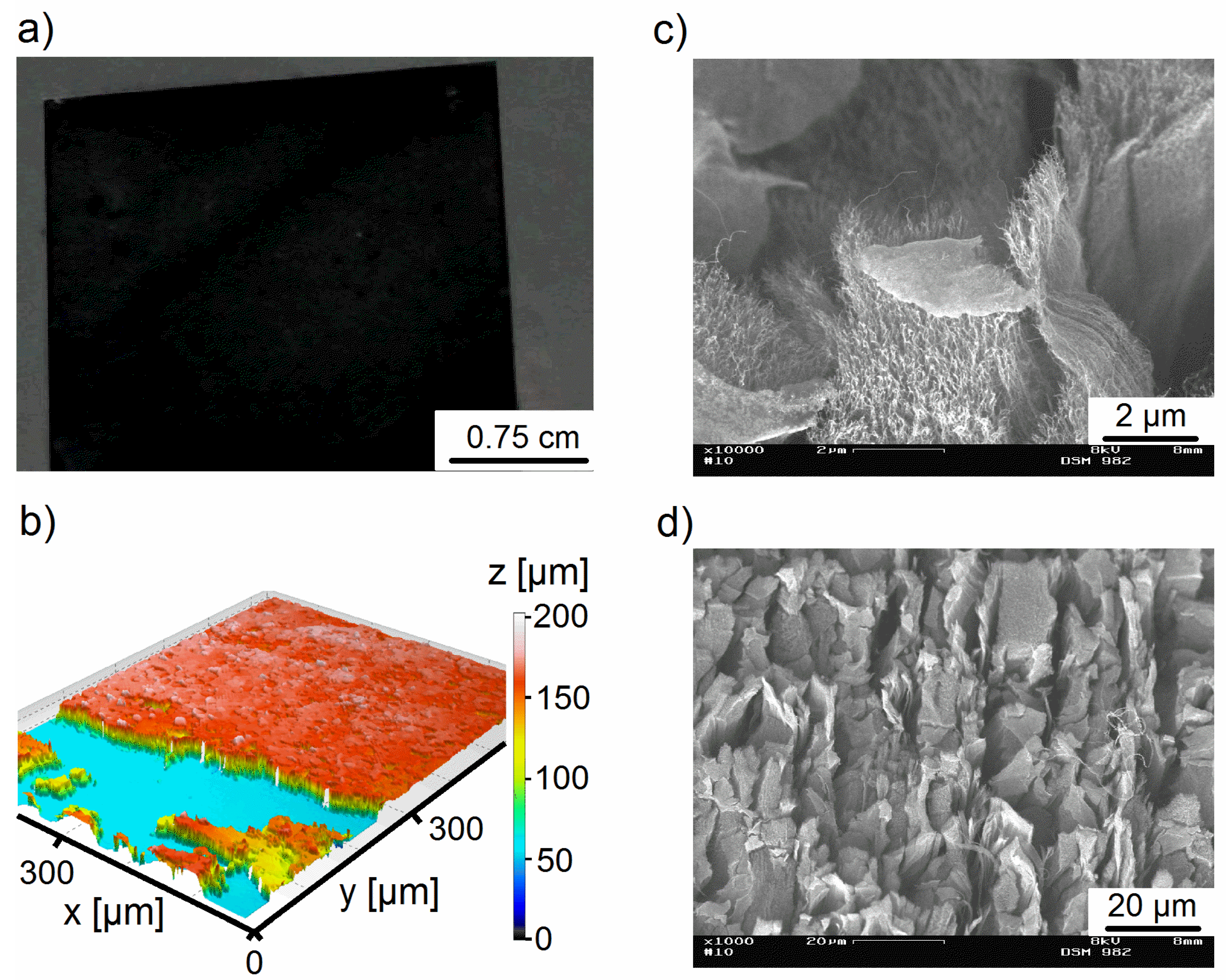 Coatings 05 00477 g004 1024