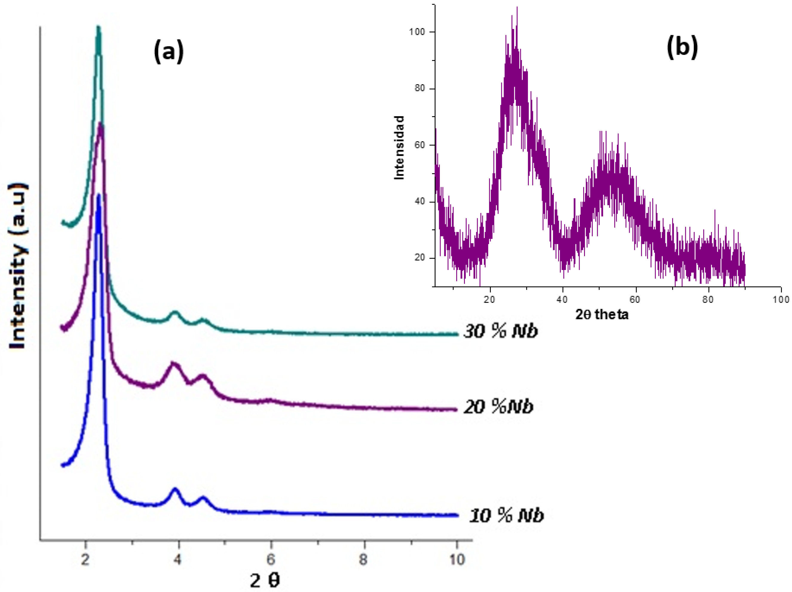 Photocatalytic Properties of Nb/MCM-41 Molecular Sieves: Effect of the Synthesis Conditions