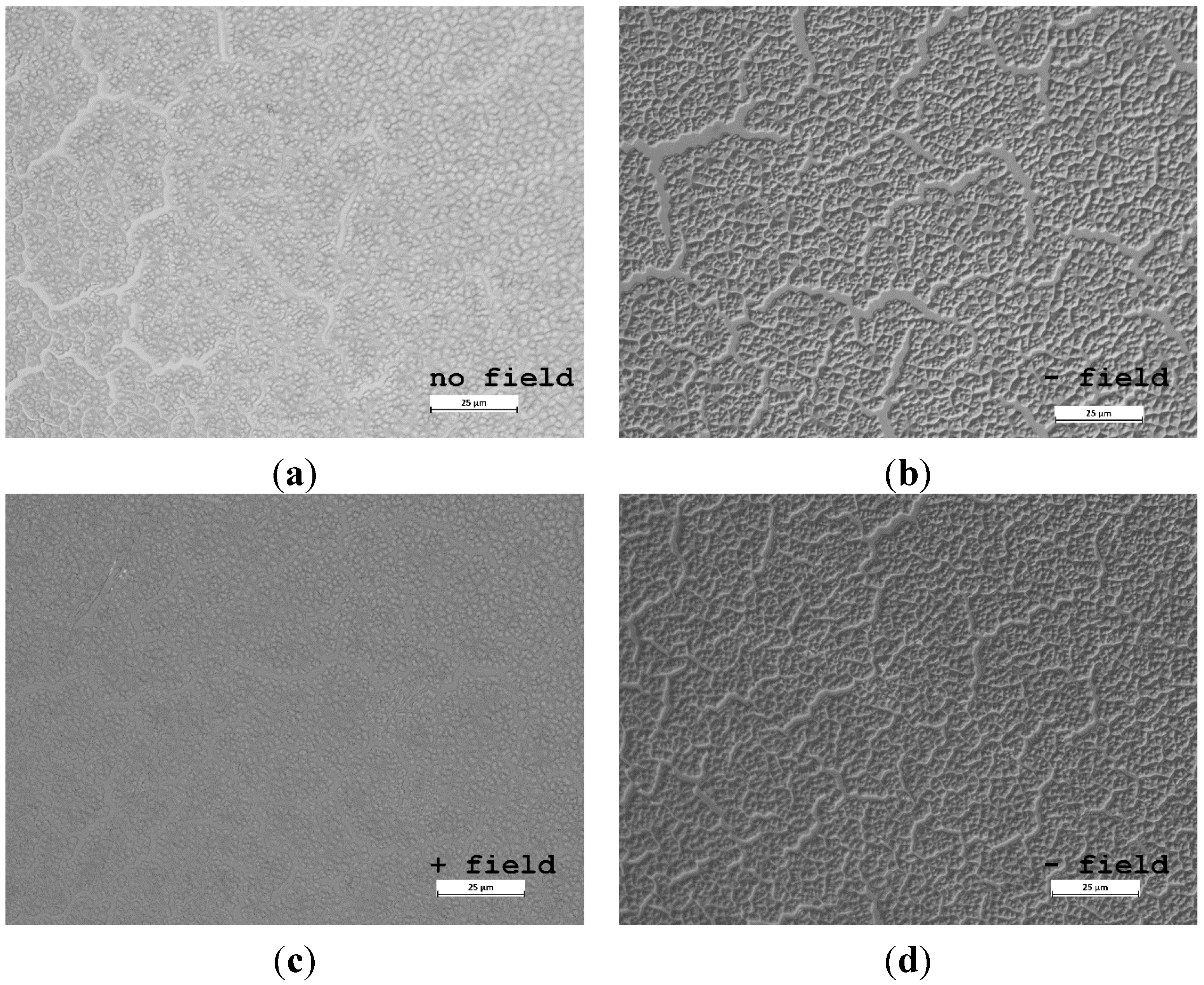 Coatings 05 00724 g003