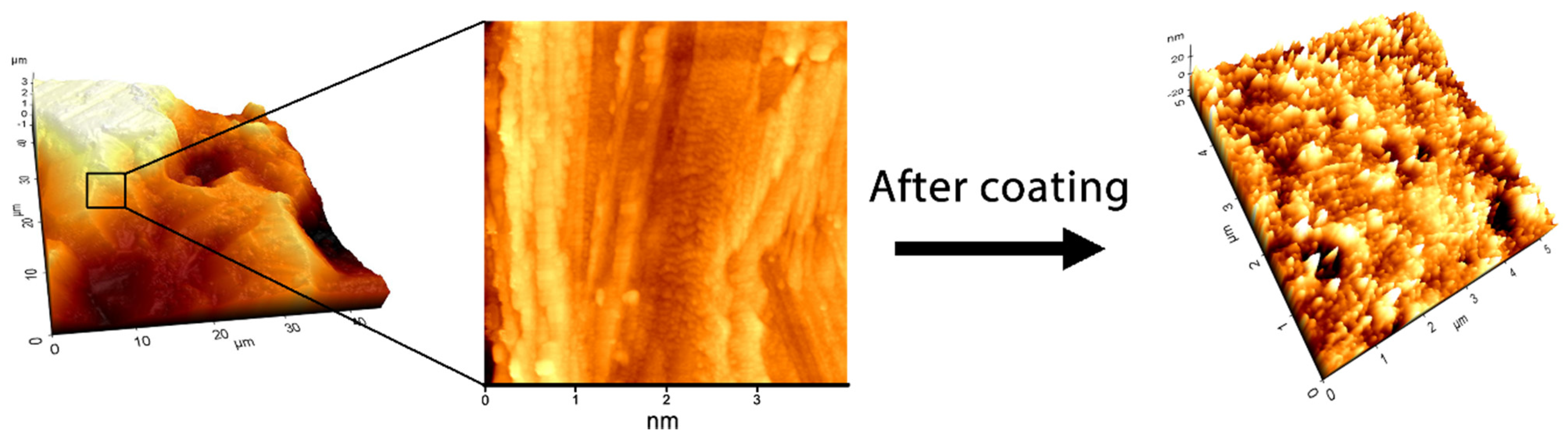 Coatings 05 00737 g006