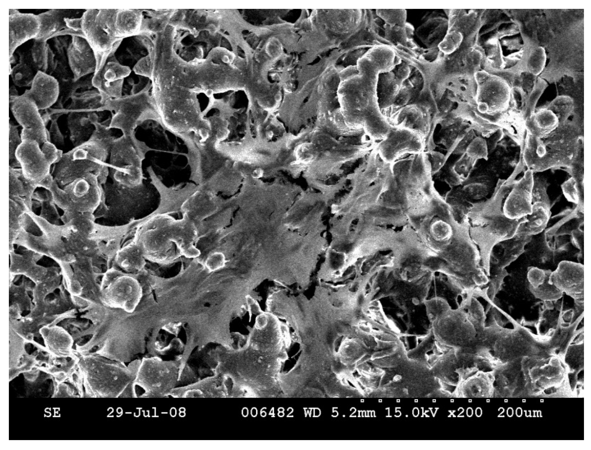 Coatings 05 00737 g008