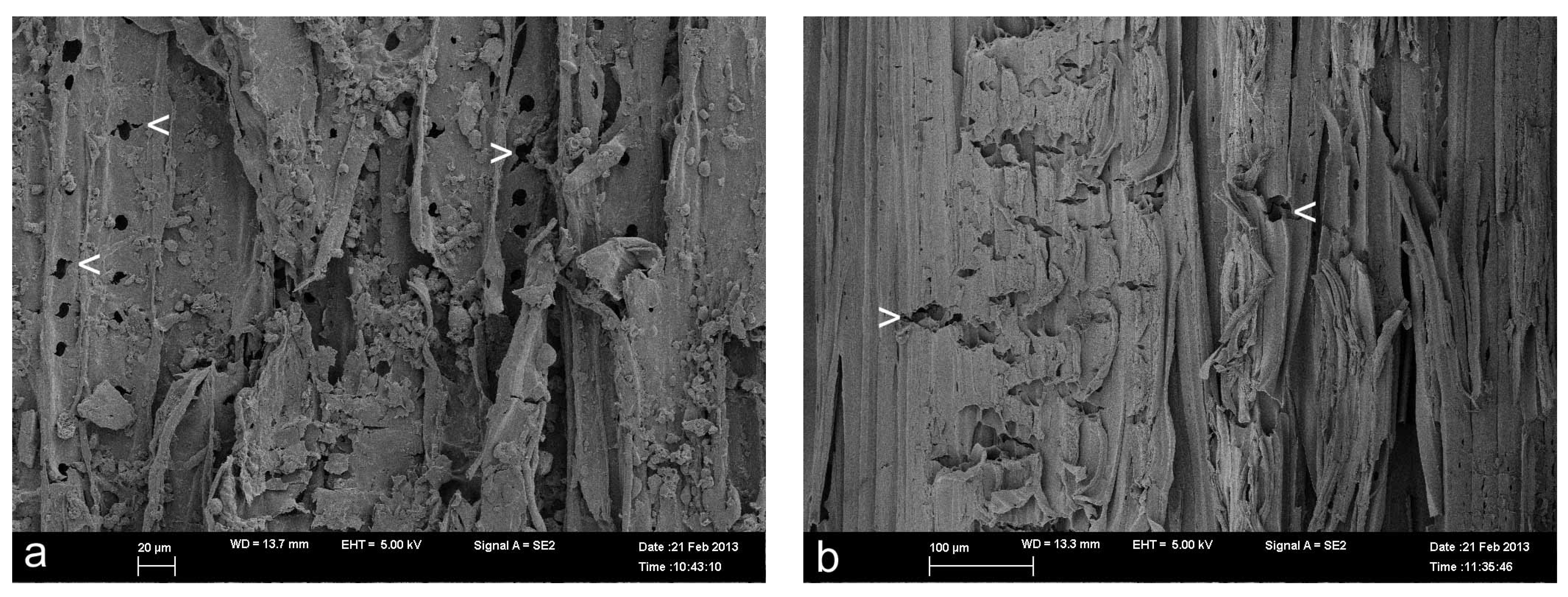 Coatings 05 00830 g002