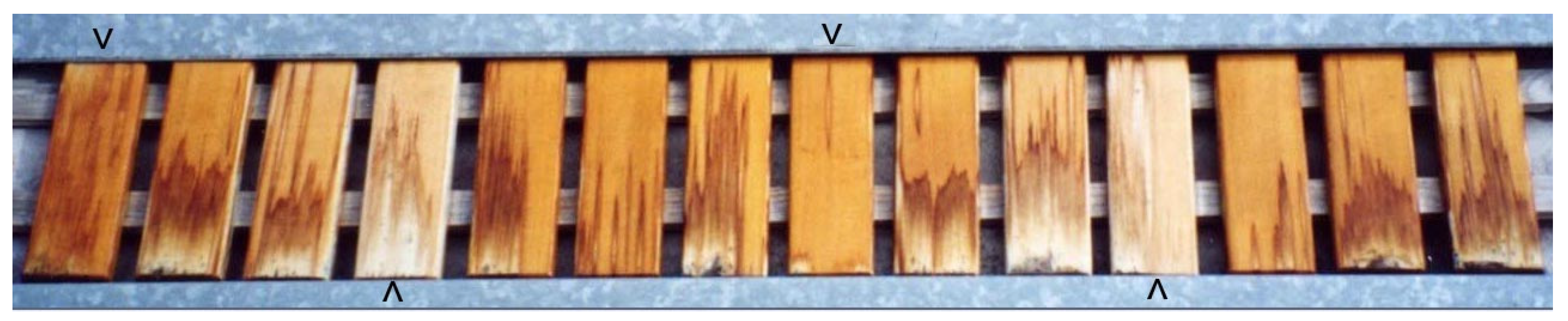 Coatings 05 00830 g013