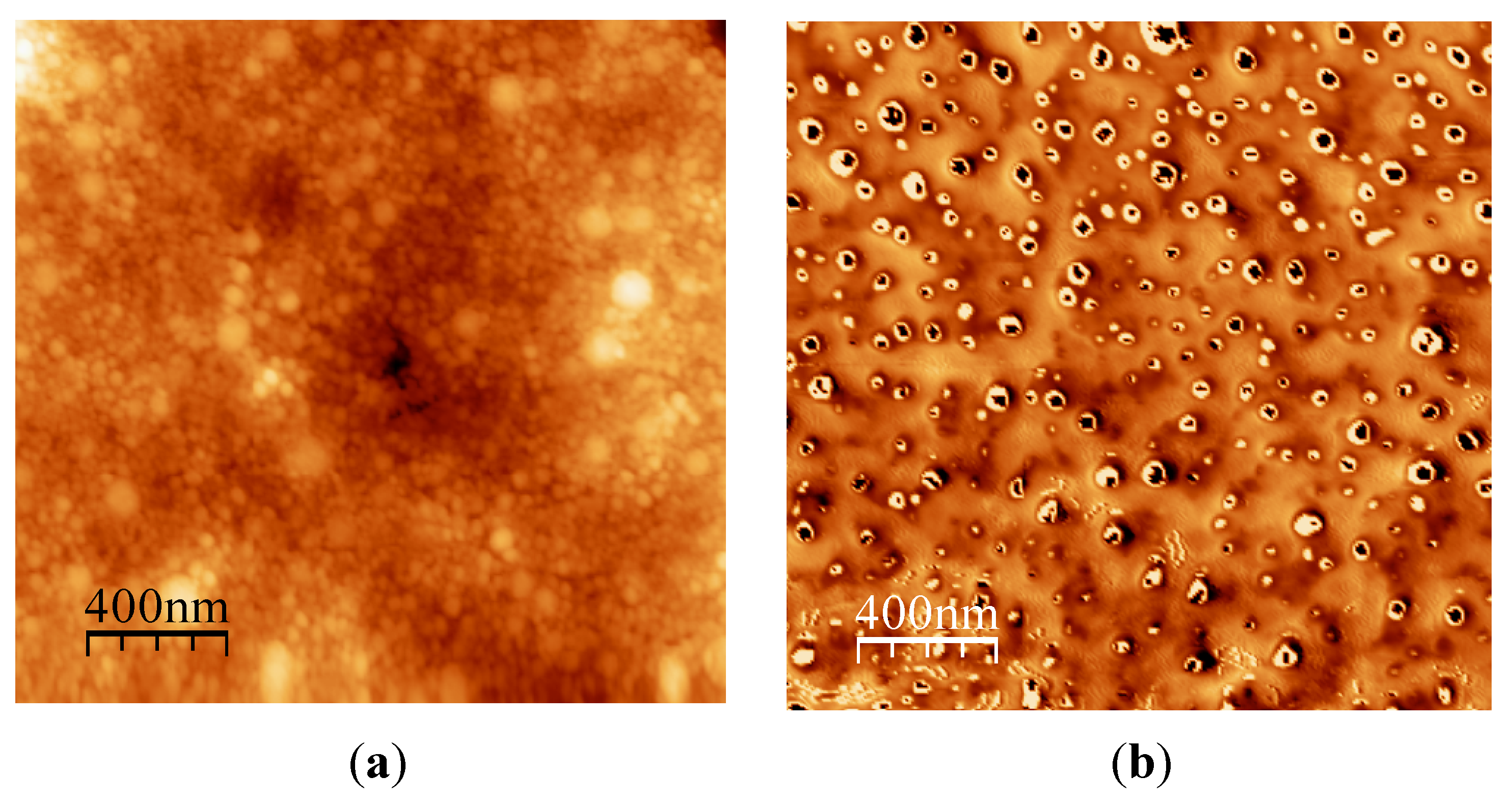 Coatings 05 00887 g008